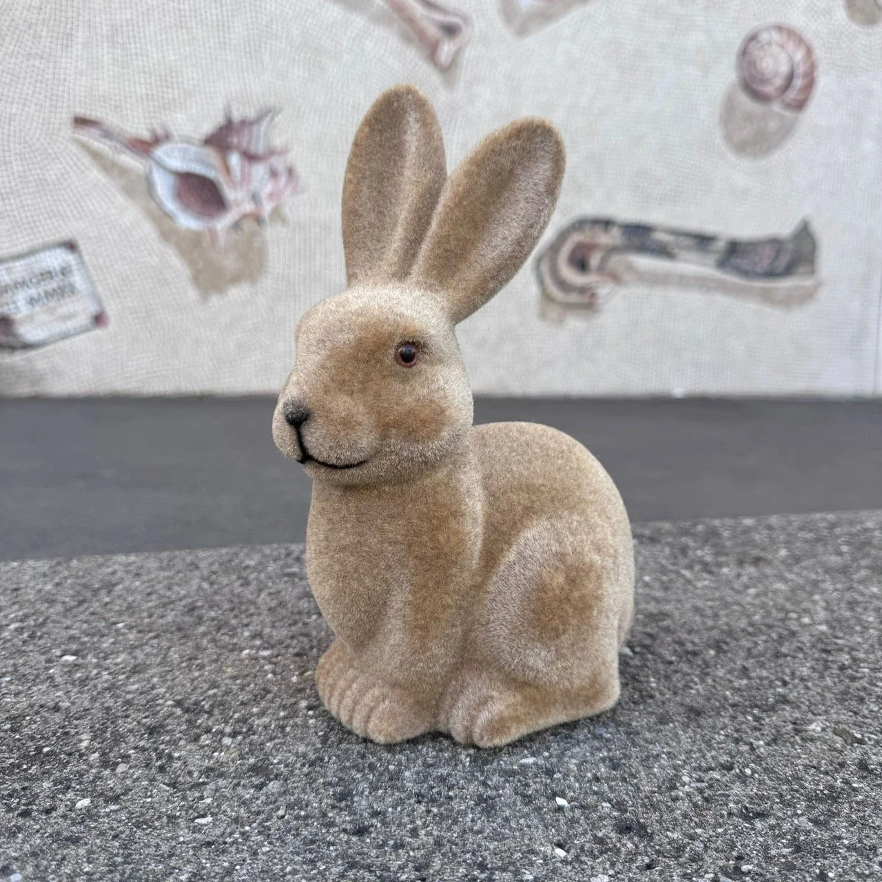 e12d6cbf-3fa2-4775-9628-99b028b78649.JPG (Kopie)