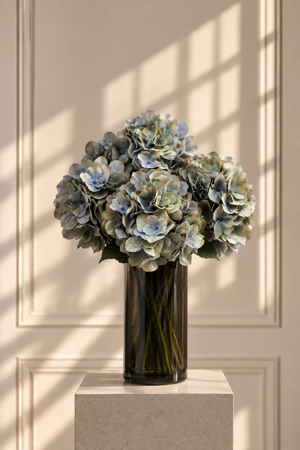 Elegante Hortensien im Sonnenlicht.png