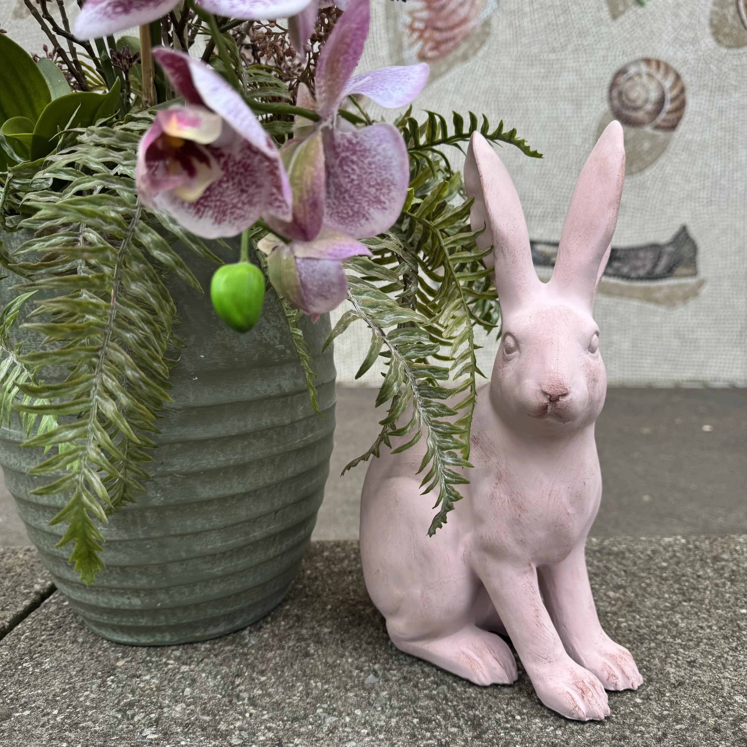 Dekohase im zarten Rosé