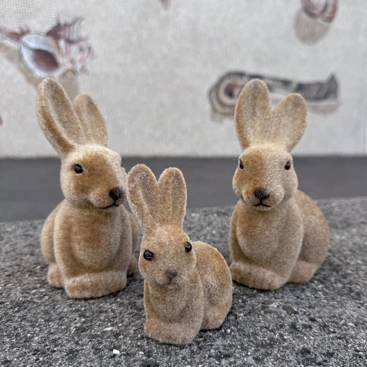 ca458ed6-0d83-4e6f-af66-2290487348d9.JPG (Kopie)