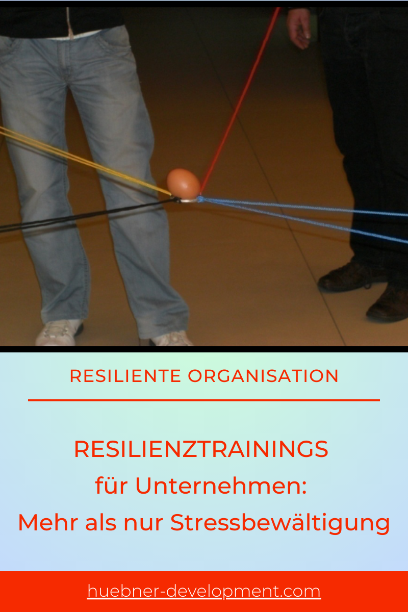 RESILIENZTRAININGS für UNTERNEHMEN: Mehr als nur Stressbewältigung