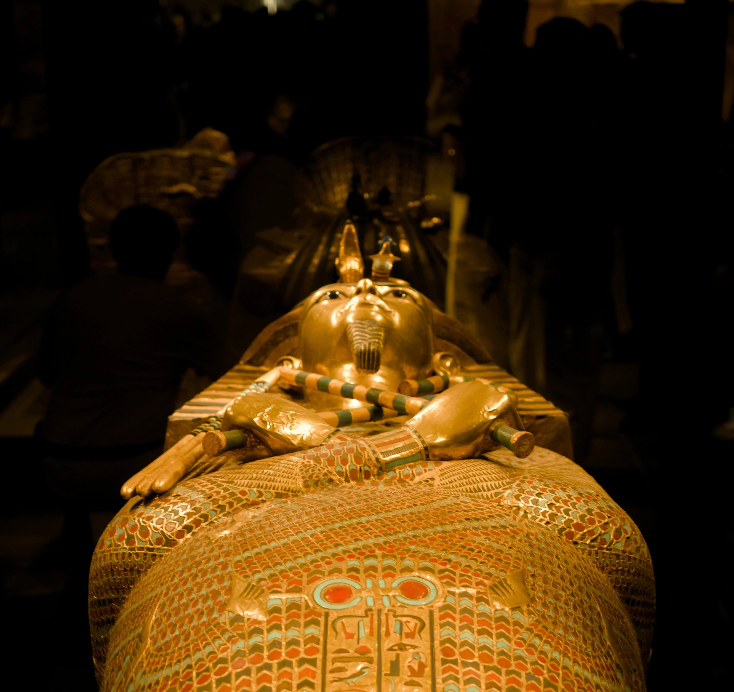Pharoah fungus &amp; cancer…