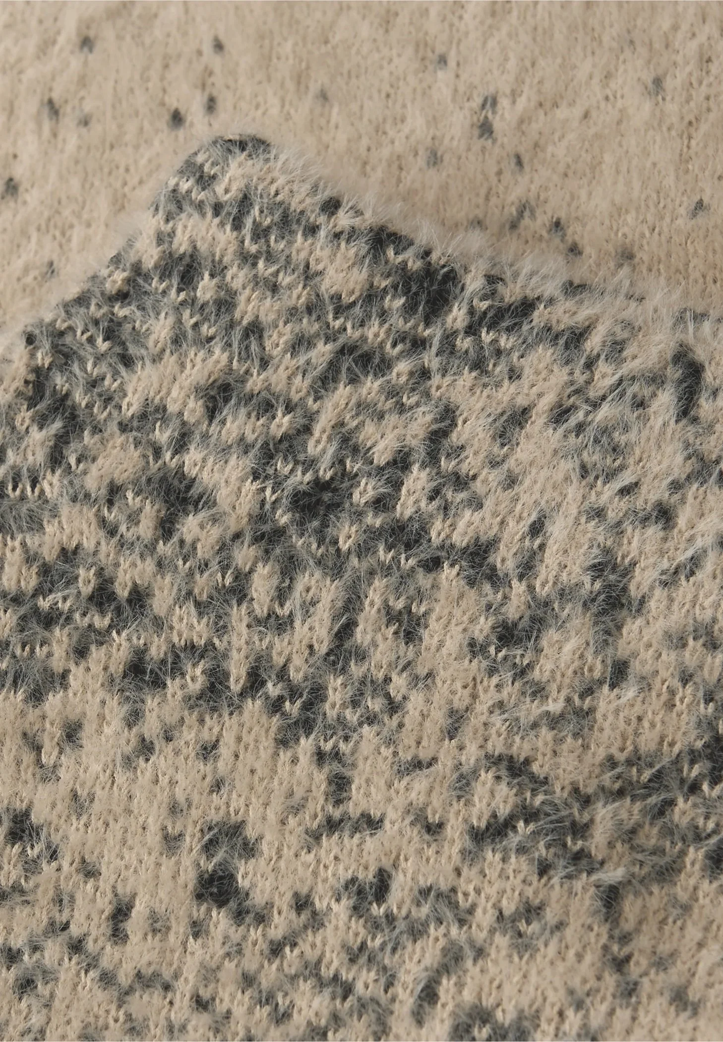 303560 e.jpg