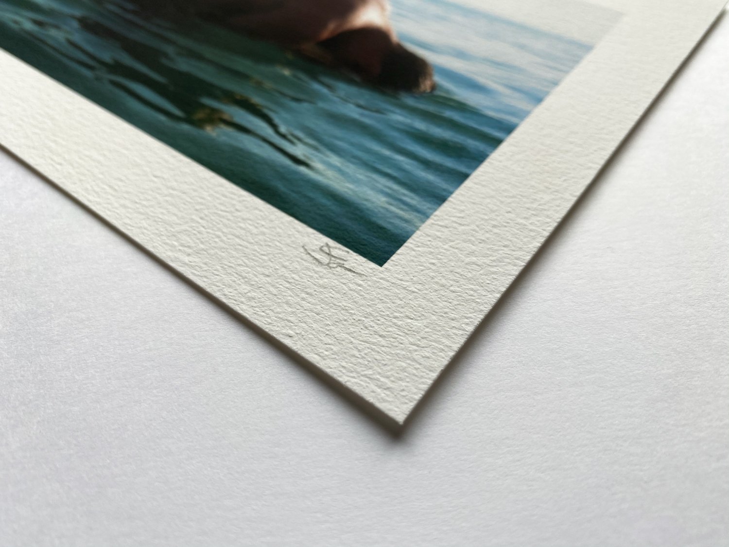OscarLAlexander_LeftBehind_Details_web.jpg