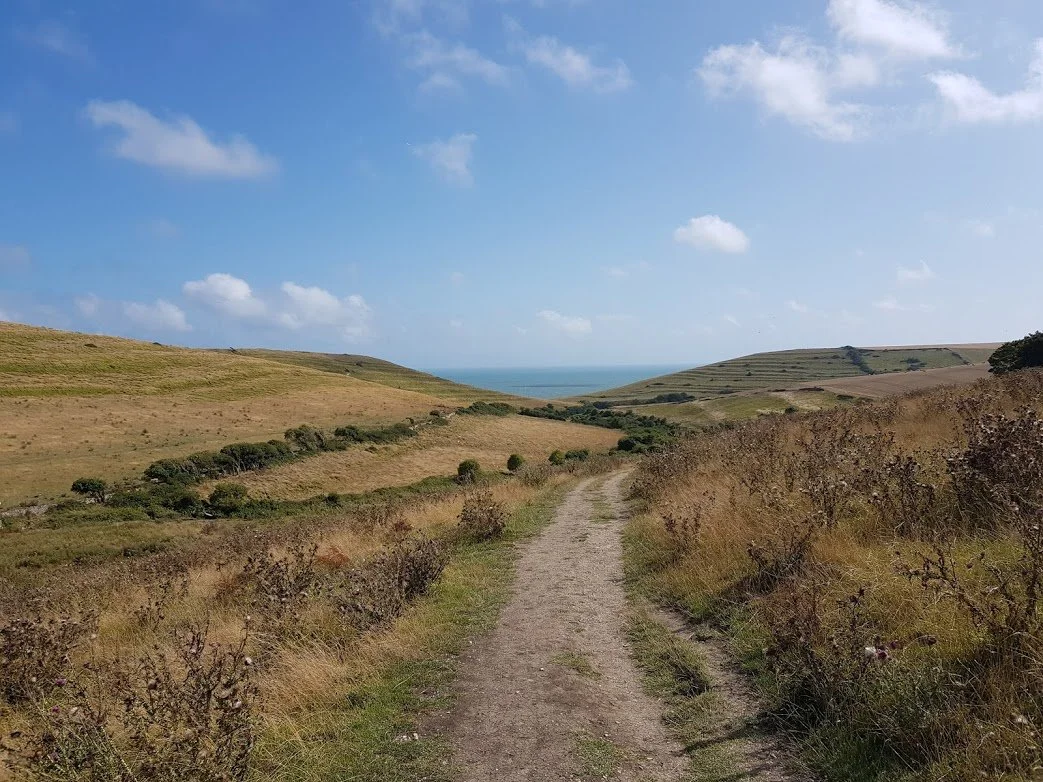 A path cuts across fields heading down towards the sea with blue sky and a few clouds above..