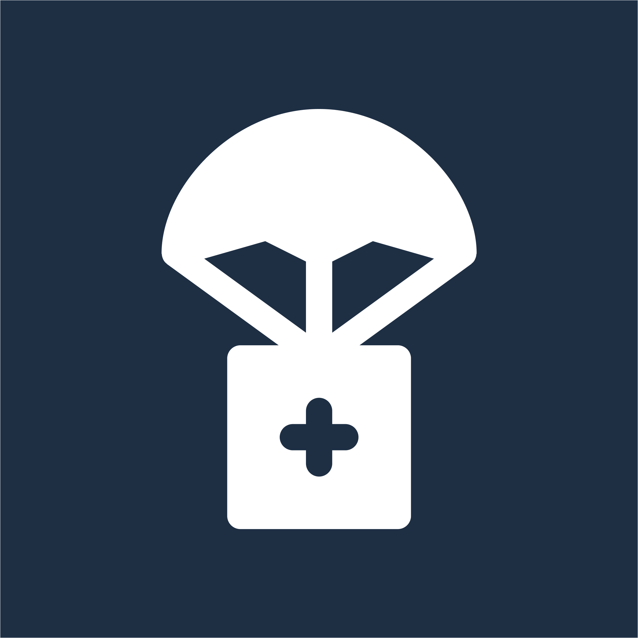 From Margins to Mainstream: Inclusive Leadership in Humanitarian Aid
