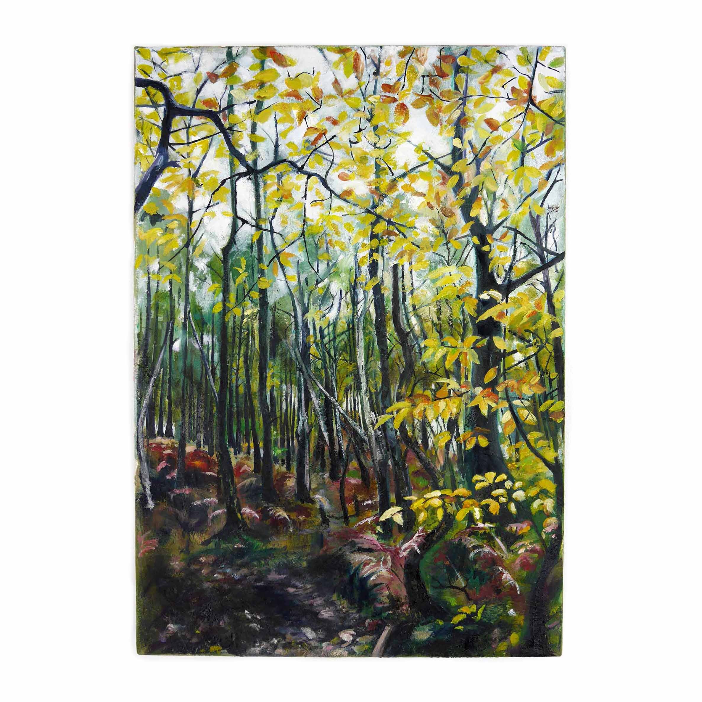 woodland painting 17d.jpg