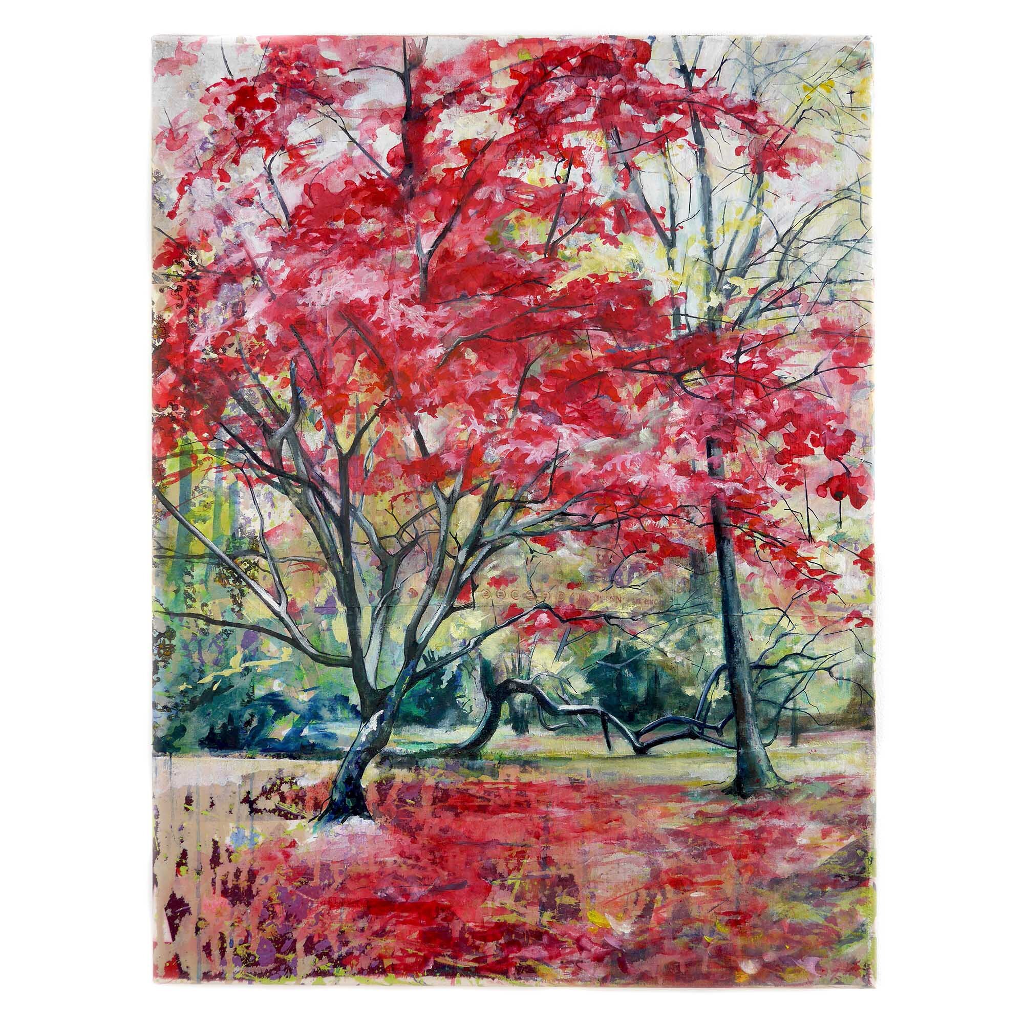redacertrees.jpg