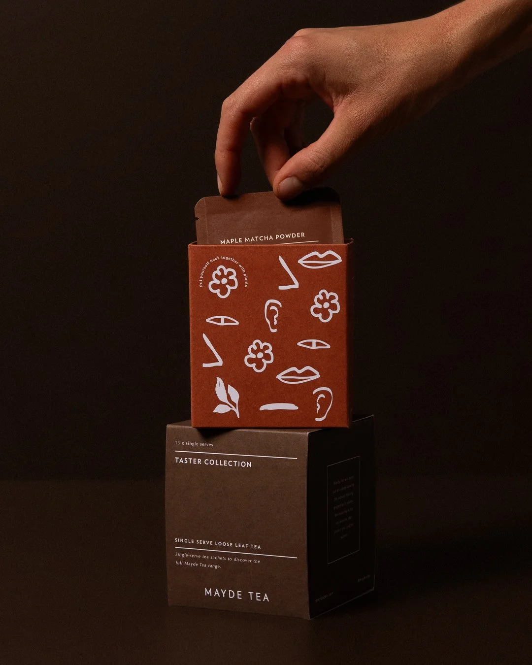 Hand holding a box of Maple Matcha Powder above a box of Mayde Tea Taster Collection single-serve loose leaf tea on a dark background.