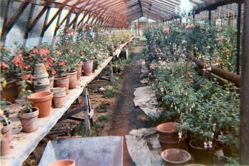 Ernest Russ who ran Angeston Nurseries, Uley, Glos 1966-1969