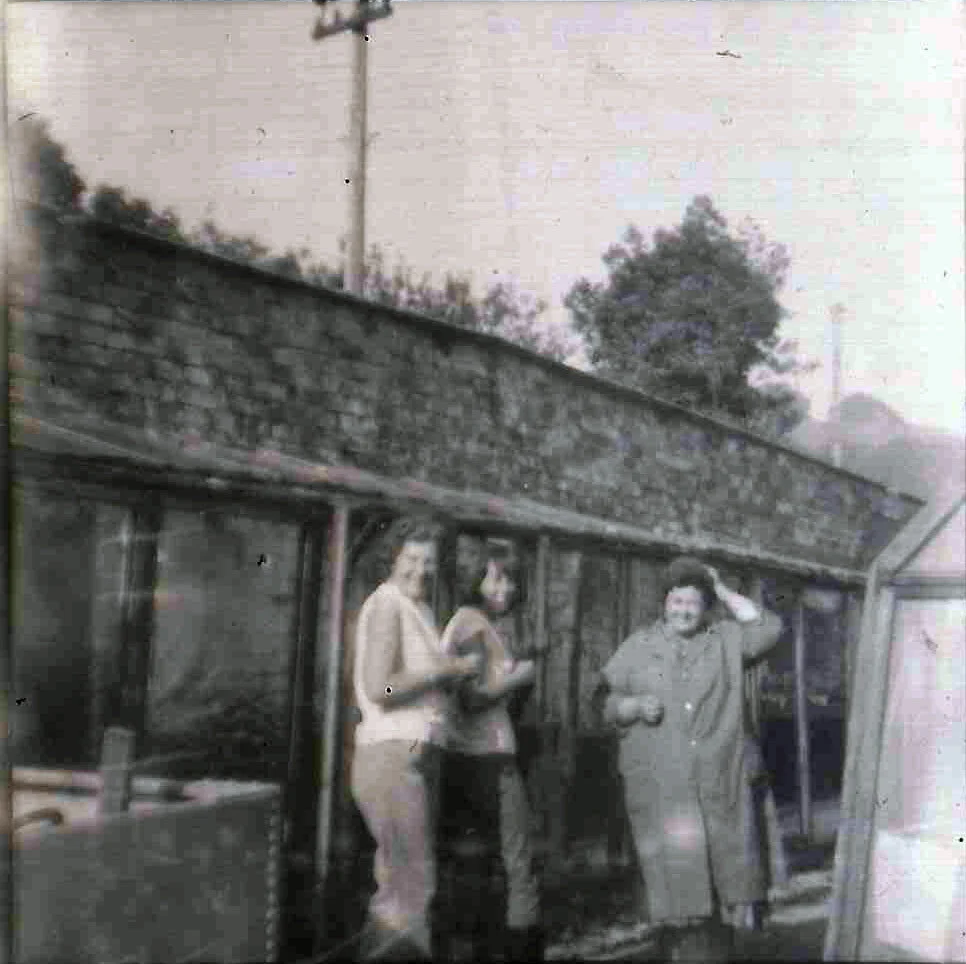 Russ family garden nursery Uley c1966-1969