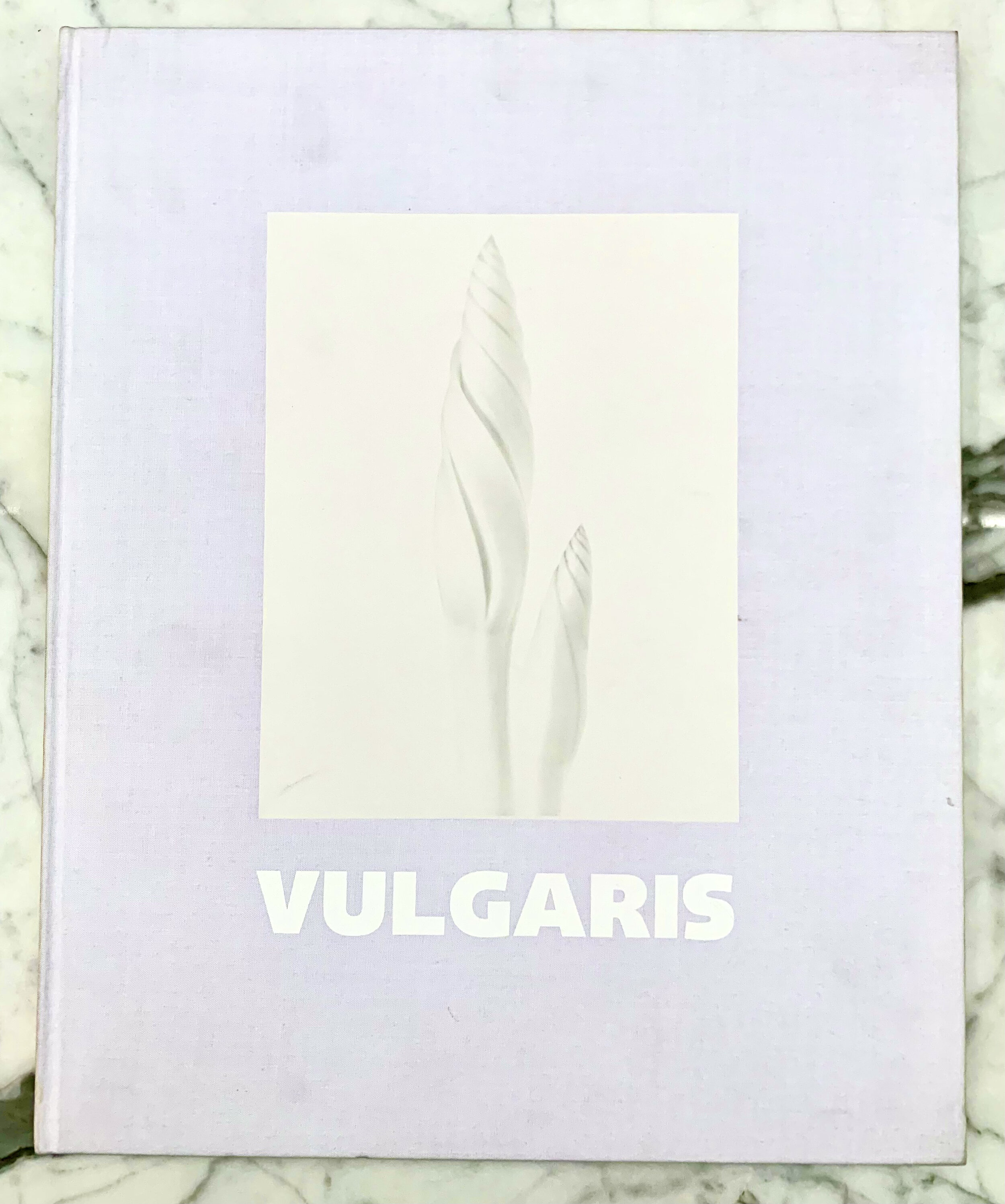 Vulgaris - Ron van Dongen, Nazraeli Press 2000. 1st Edition, Limited to 2000 copies. Oversized Hard Back, no Dust Jacket as issued. In a Fine Condition, £125.00