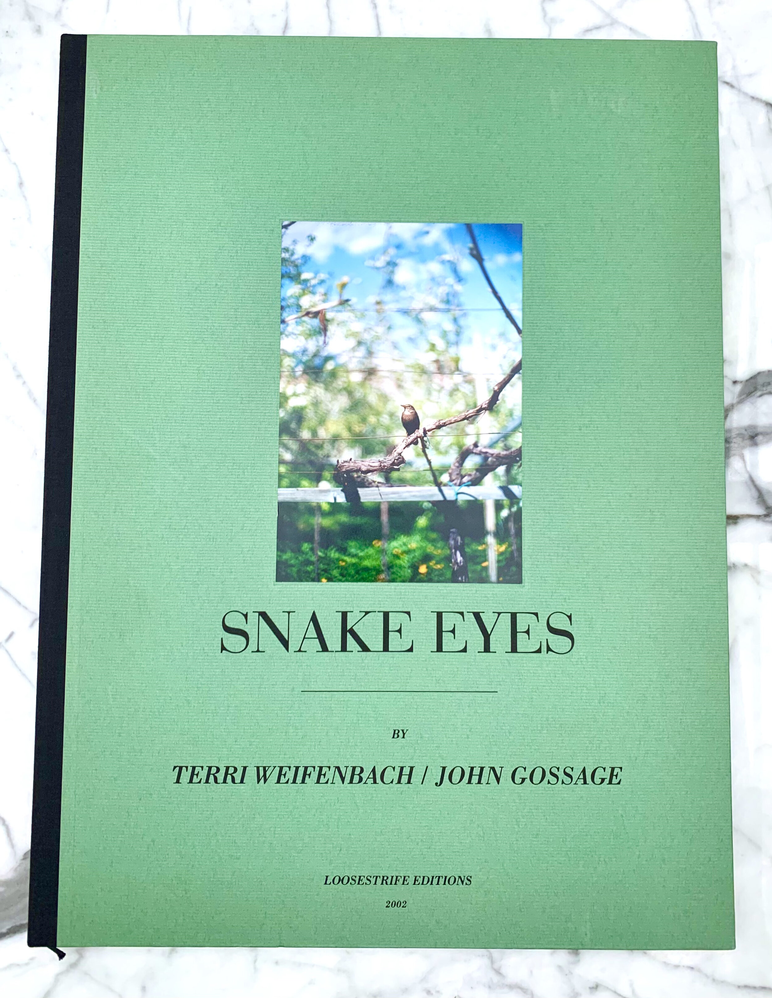 Snake Eyes - Terri Weifenbach & John Gossage, Loosestrife Editions 2002. 1st Limited, Signed Edition. Oversized Hard Back, no Dust Jacket as published in a New Condition, £300.00