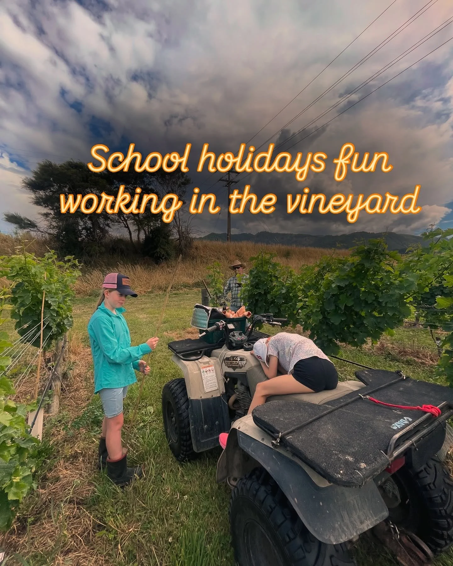 A little bit of work for these kids during the summer break. Planting new vines . Ice creams after were well deserved . #tapiwine #marlboroughwine