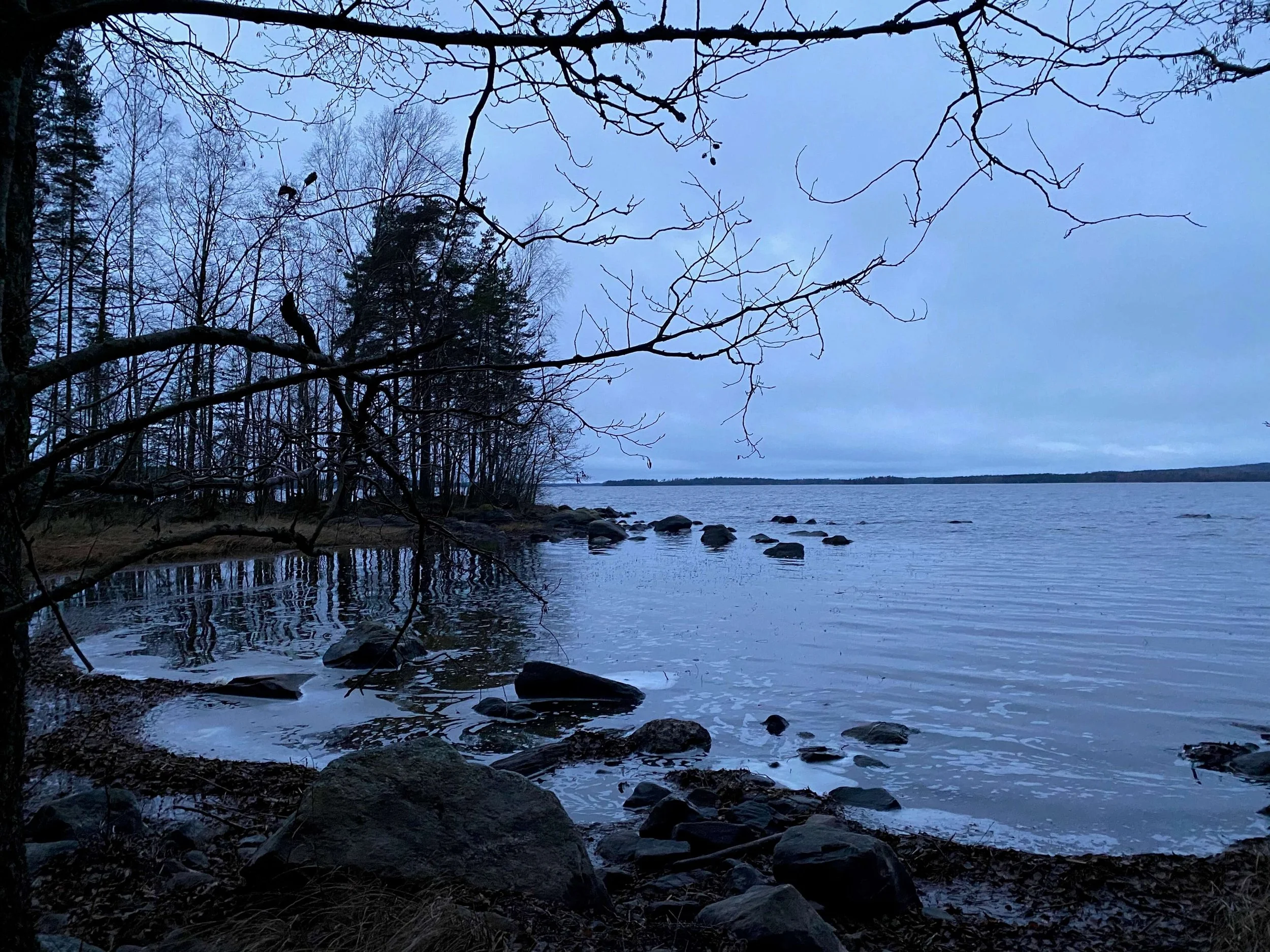 Kuinka elinvoimaiseksi ja virkeäksi koet itsesi? &nbsp;