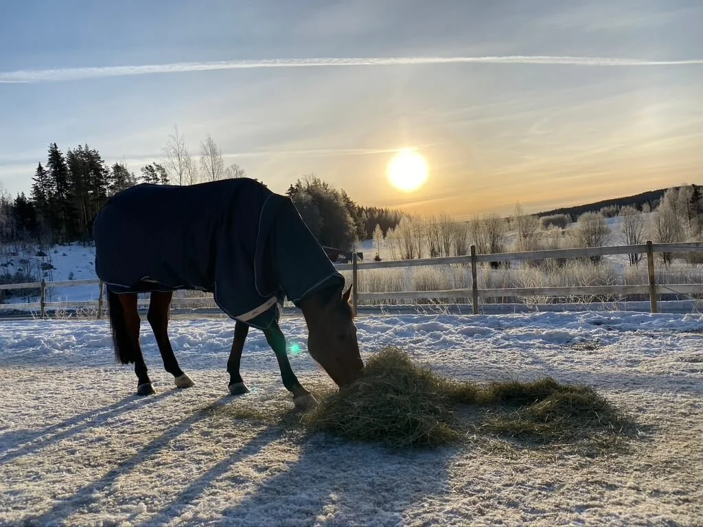 Arki fibromylagian kanssa on ajoittain haastavaa.