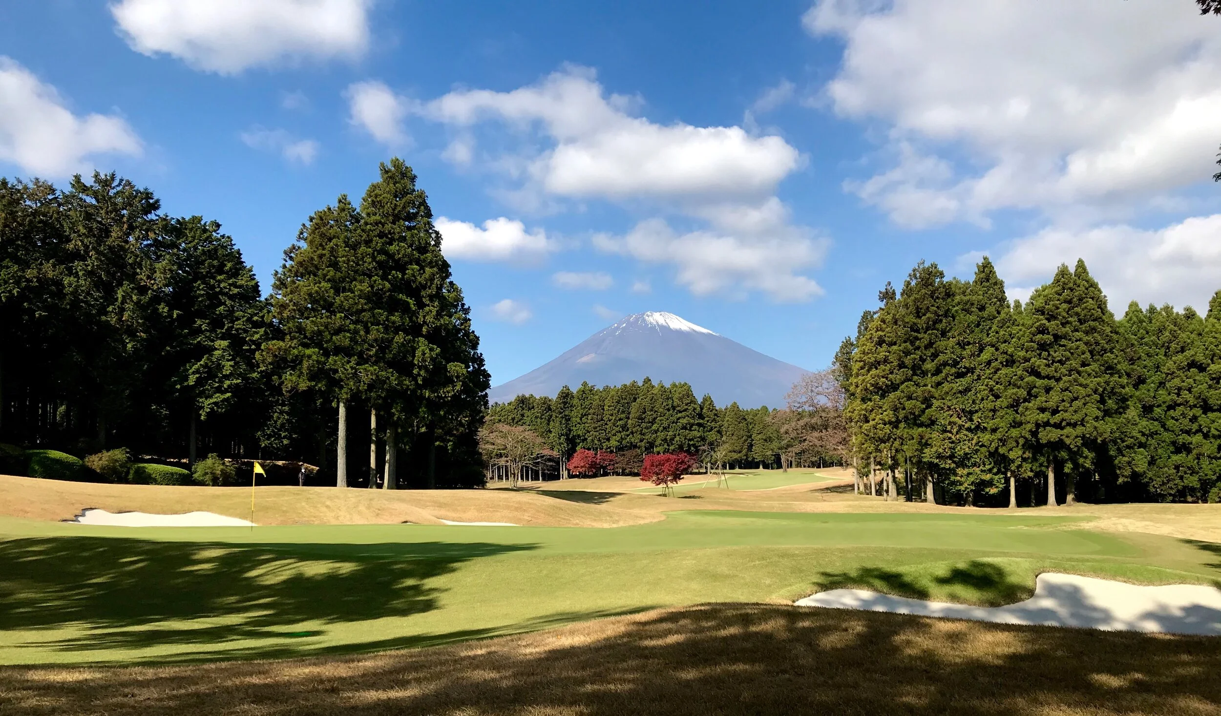The Par 3 7th hole was the only green totally renovated in 2108 by Rees Jones.