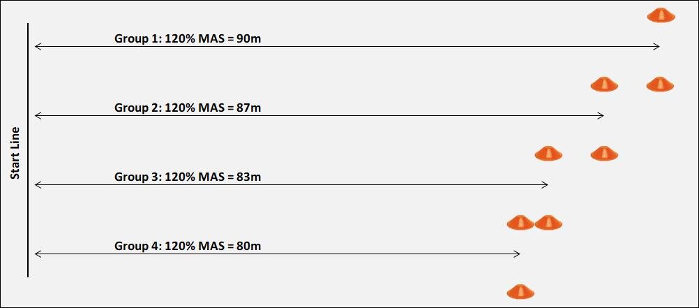 Maximal Aerobic Speed (MAS)