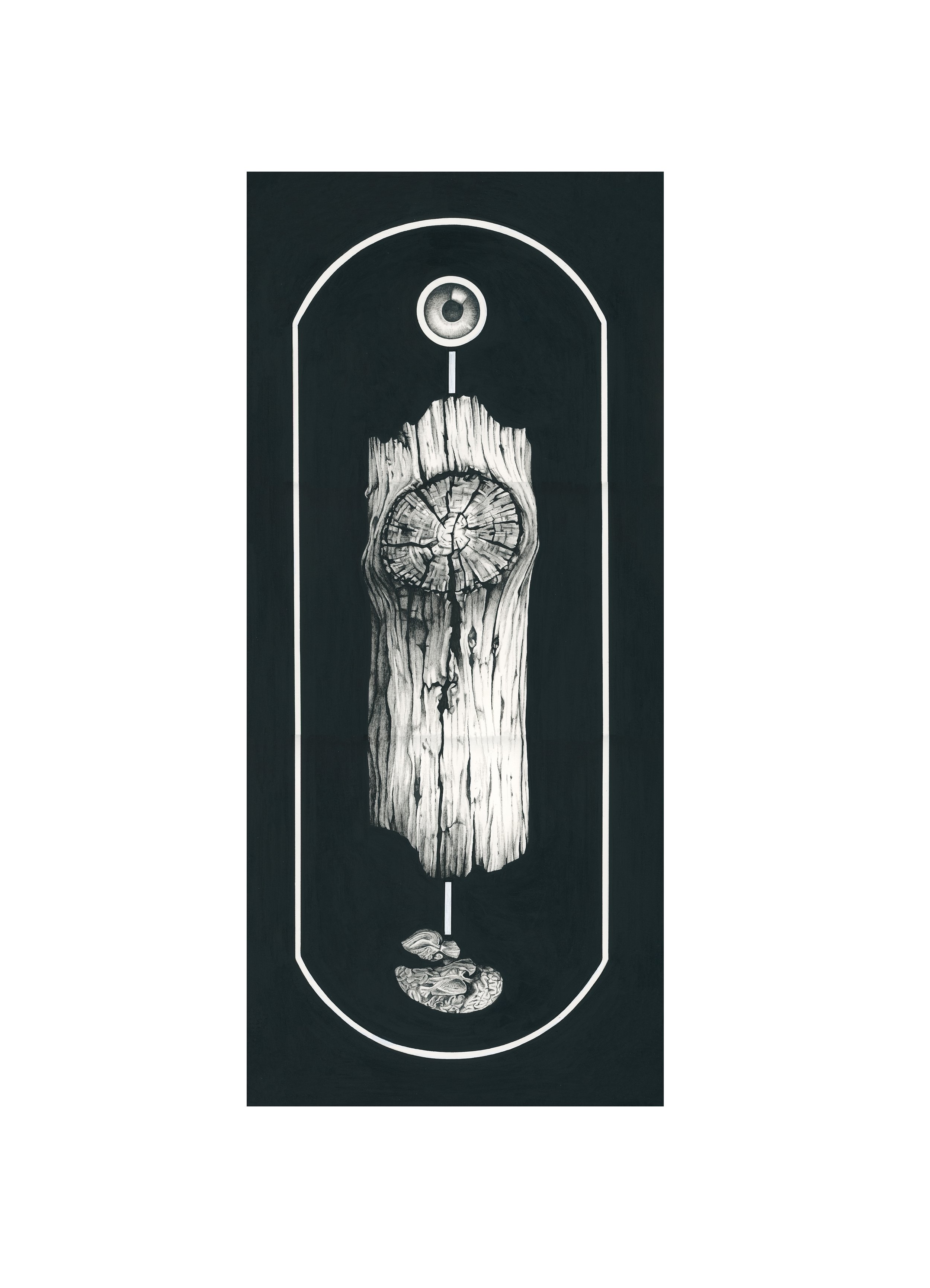ARBOREAL XVIII