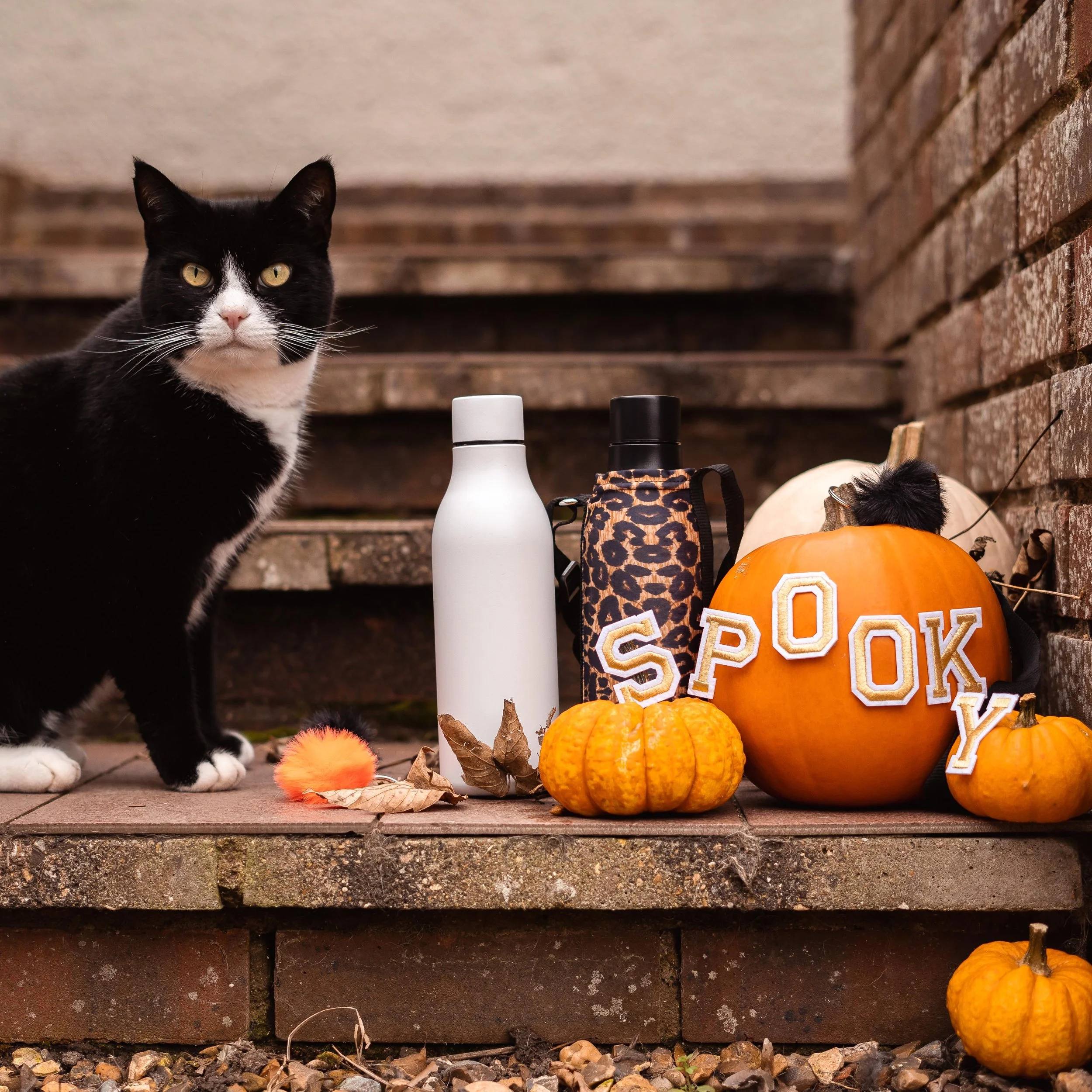 Bottlesoc_Oct2023_042.jpg