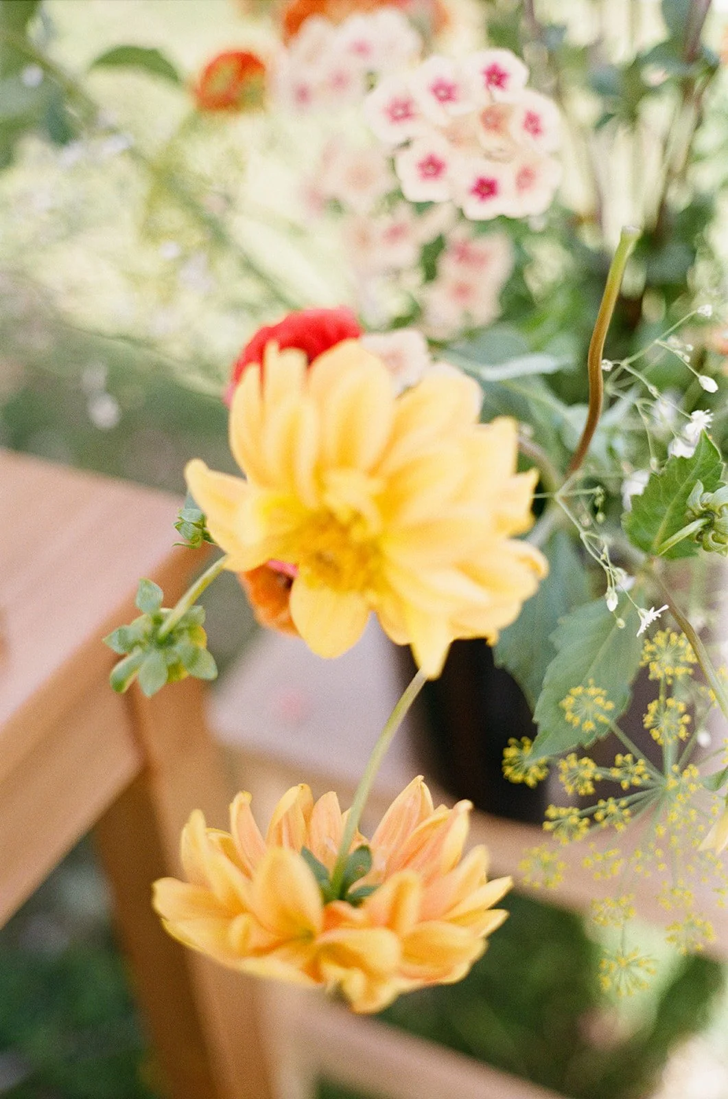 Garden-Tour-Blue-House-Florals-20.jpg (Copy)