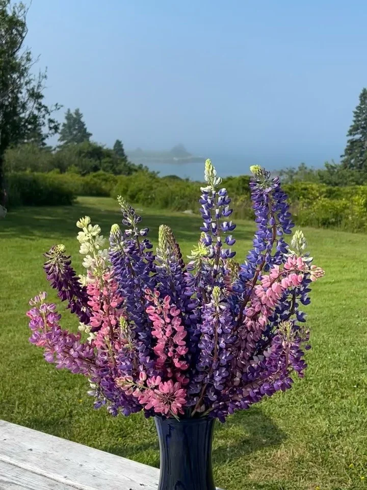 Why do we think life will be different when we go on vacation? You know I&rsquo;m still out here looking for all the flowers every day. Some of the beauts we found in Nova Scotia: lupin, marigolds, dogwood, and smoke bush. I love how flowers bring us