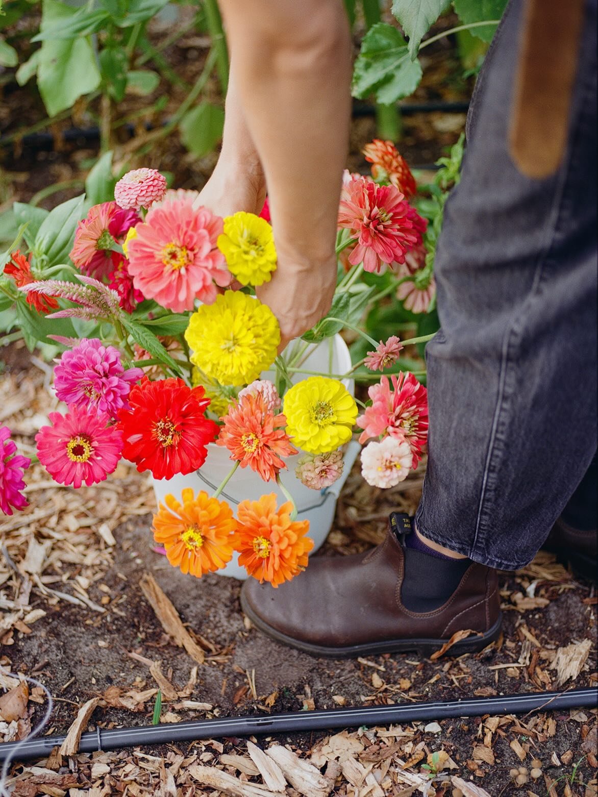 If every adult in America moved just one $40 gift from @amazon to a small business this holiday season, that would be $10.32 billion redirected to small businesses. 📈

I&rsquo;m so grateful to everyone who supports me all year long. It&rsquo;s truly