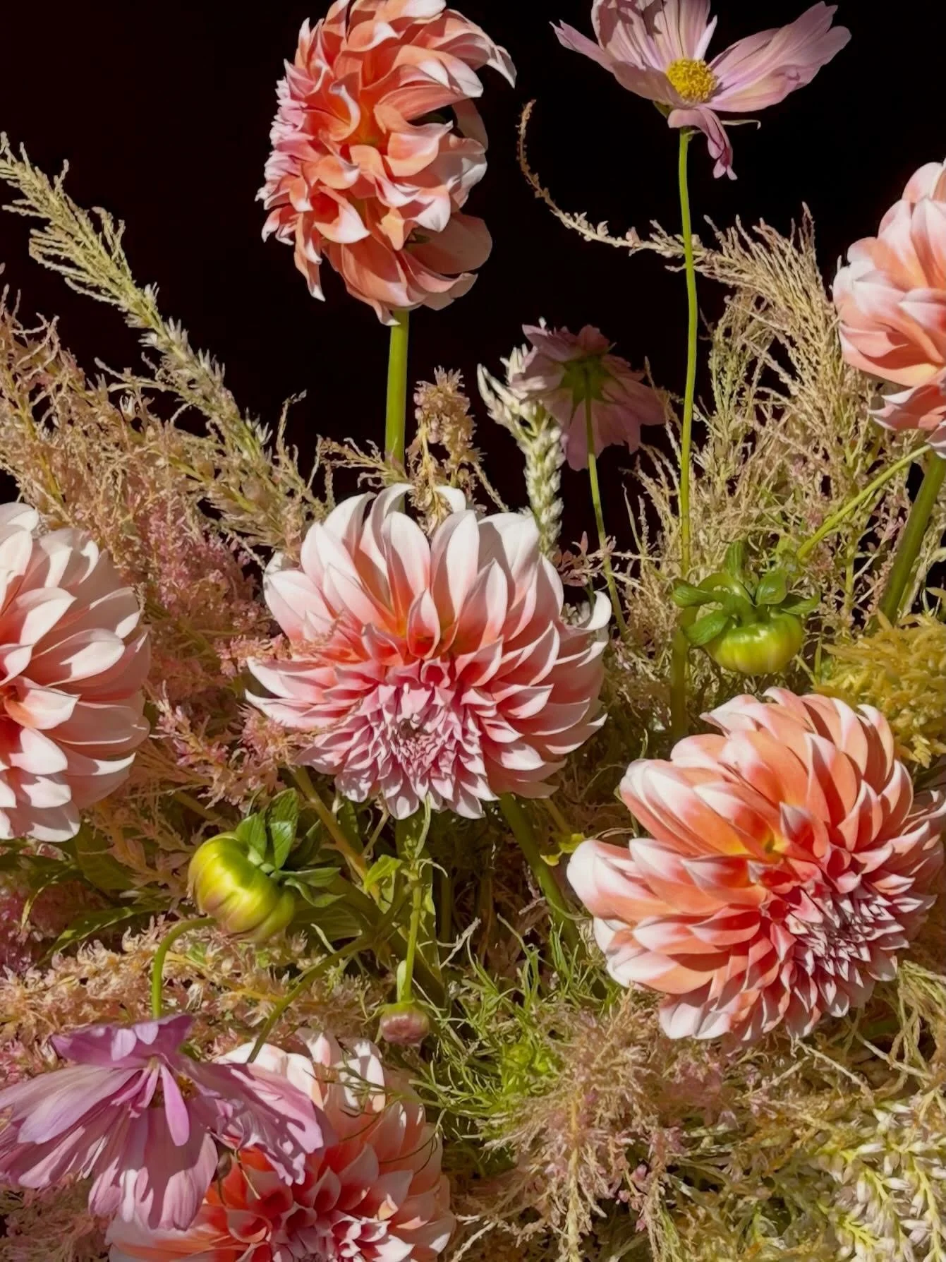 Dahlias from @littlepondfarm are my new personality. 🫶🏻

#florist #tampa #local #wedding #delivery #organic