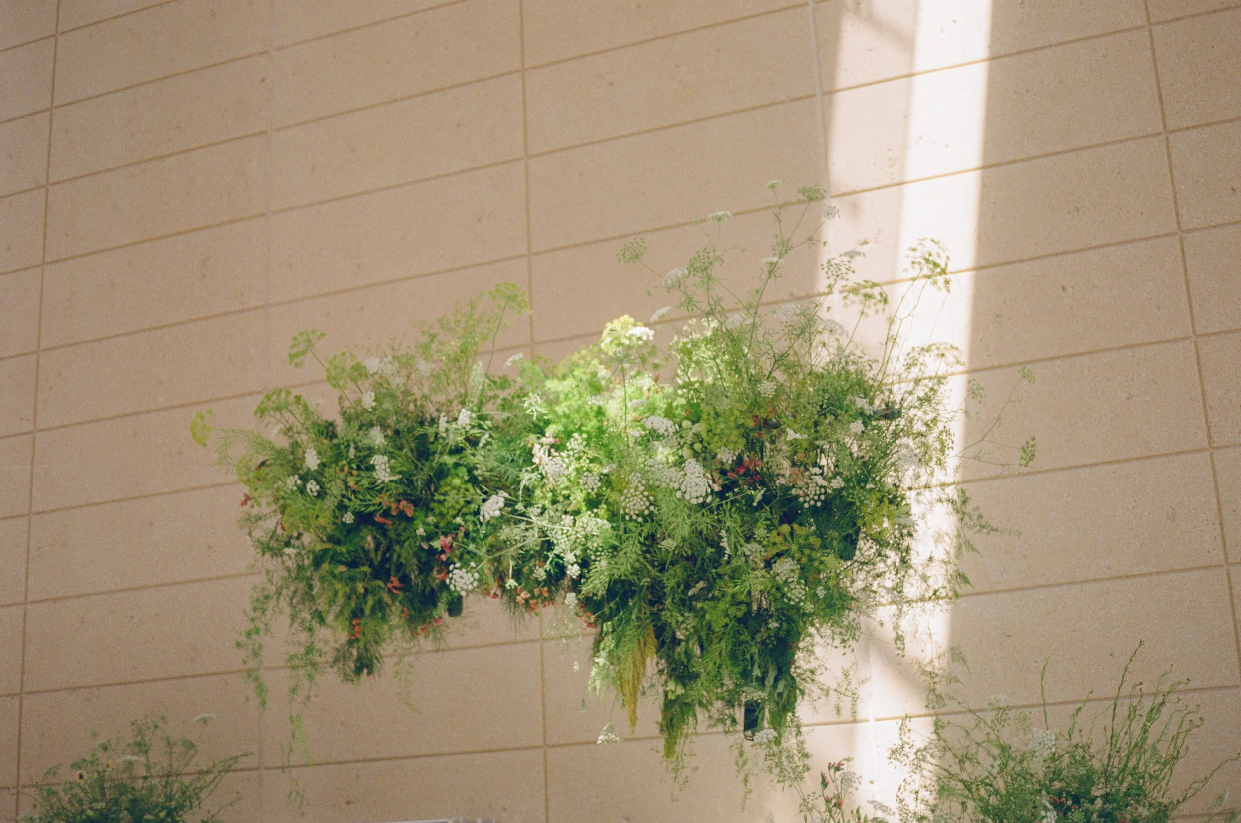 Art in Bloom at the Museum of Fine Arts 