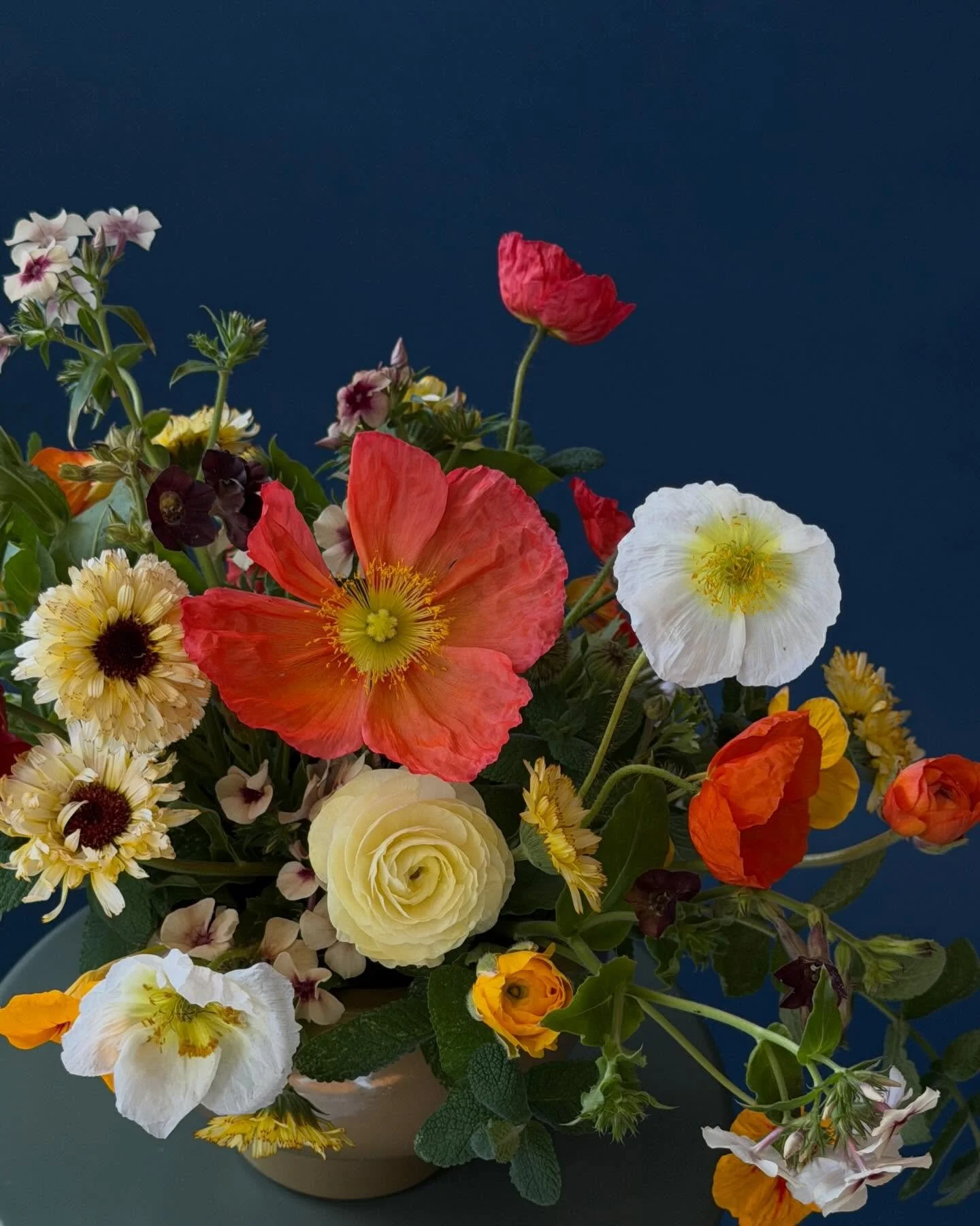 Despite the frosts, the garden gives. A late winter compote arrangement for @cafeclementinestpete @mfastpete 💛

Garden recipe:
Cherry caramel phlox 
Poppy
Wine anemone
Trailing nasturtium
Ivory princess calendula
Mint
Ranunculus
Nicotiana

#florist 