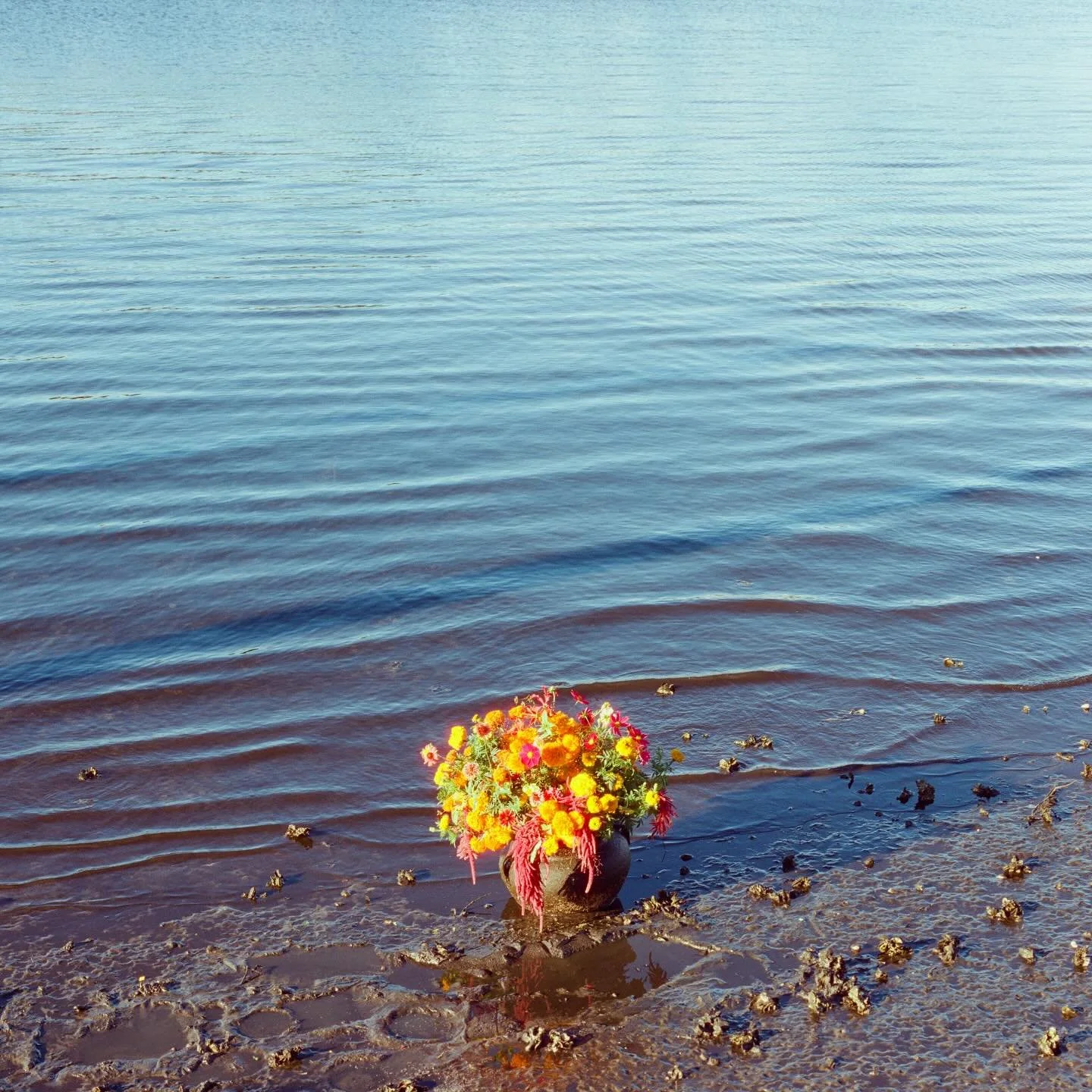 Exhausted by this relentless platform? 🙋🏻&zwj;♀️ Come see a different kind of content creation at St Pete Zine Fest this Saturday 11am-3pm hosted by @printstpete and St Pete Public Library. Bc what&rsquo;s more radical than a library? 📚

🌸 I&rsqu