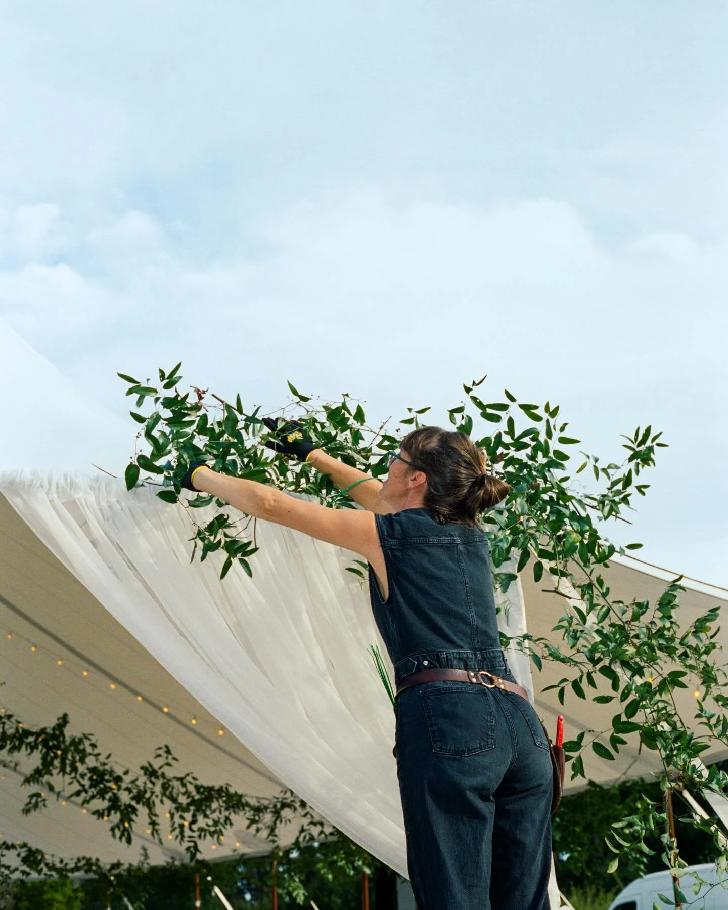 February recap 🌸 Freezing temps and warm hearts. 

🥶 So many freezes (how did this happen? We didn&rsquo;t have any last year!) The garden did okay, but probably lost 20% of my crop. Oh well, it&rsquo;s always a gamble!
💘 Loved celebrating love wi