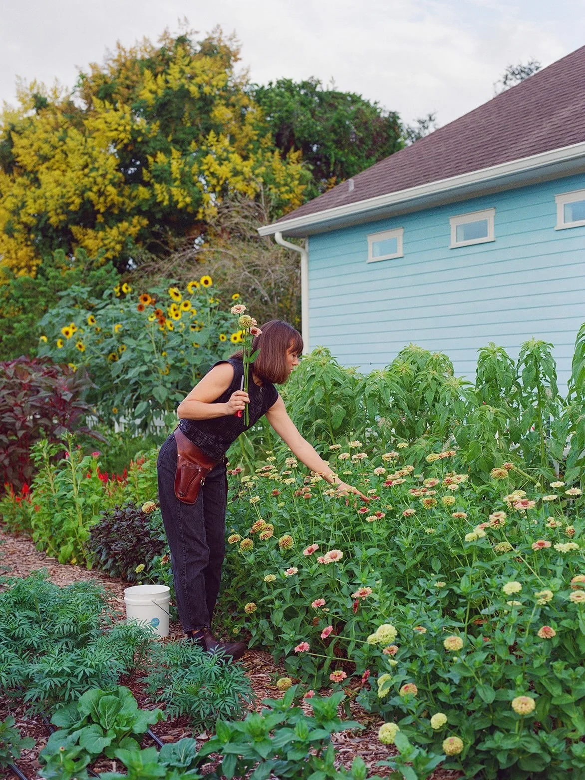 Zinnias are easy to take for granted bc they&rsquo;re so easy to grow. But every year, I find myself growing more and more in love with them. They&rsquo;re a must in your fall cut flower garden. Learn what else you should be planting in my&hellip;

?