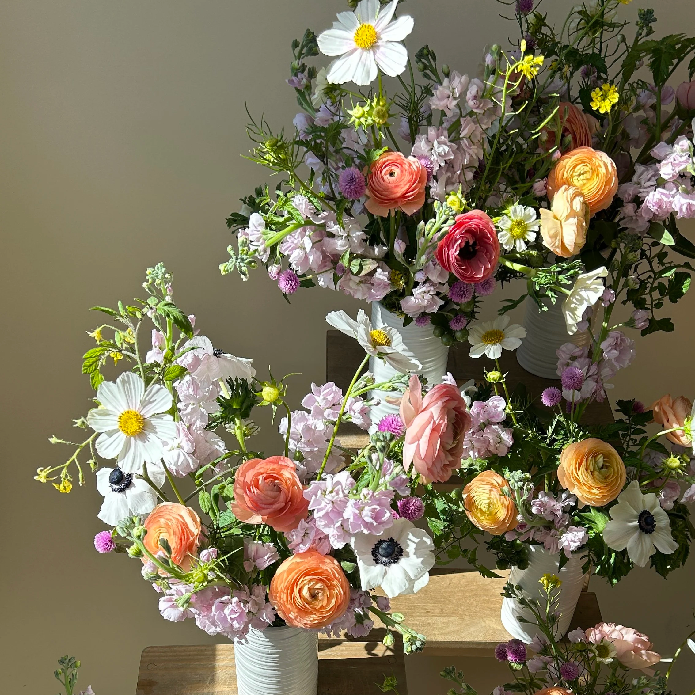 bouquets in the sunlight with a cream background.