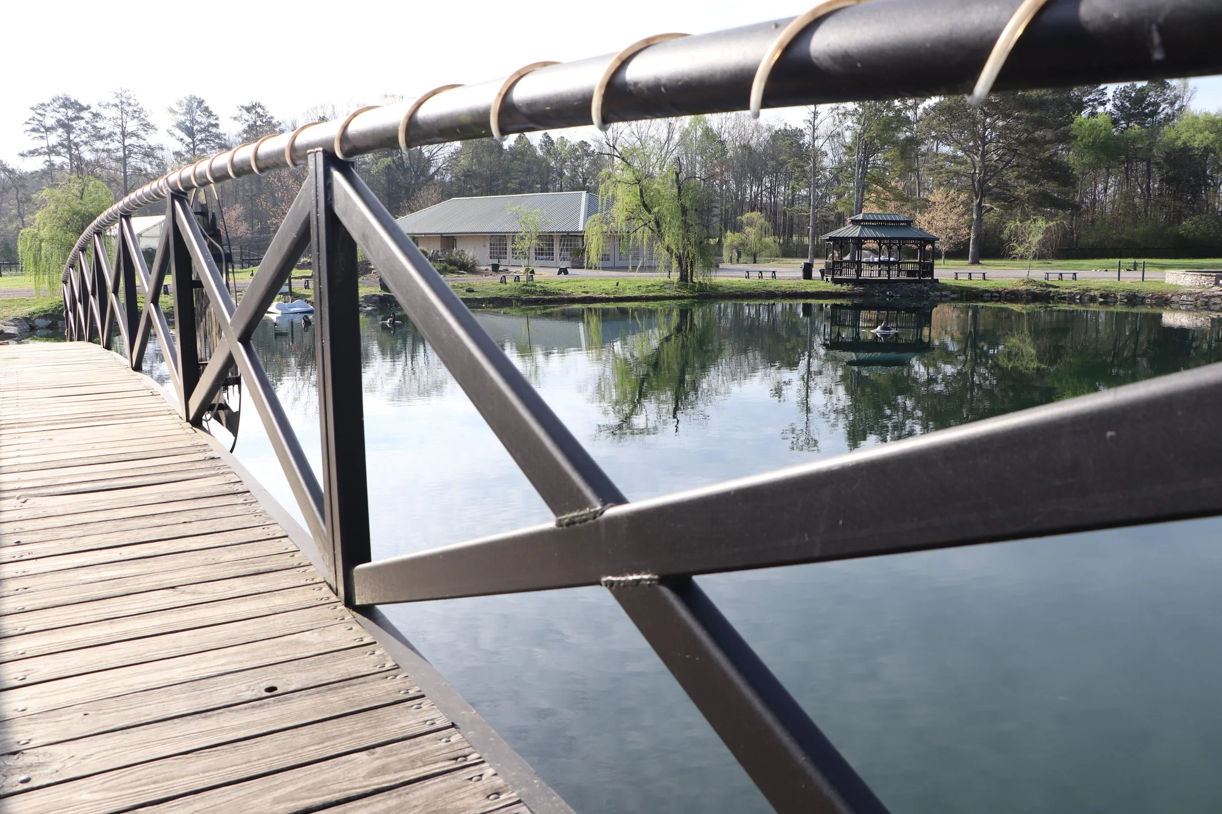 Photo of a wooden footbridge over a pond with a metal railing in a park, trees, a gazebo, and a building in the background.