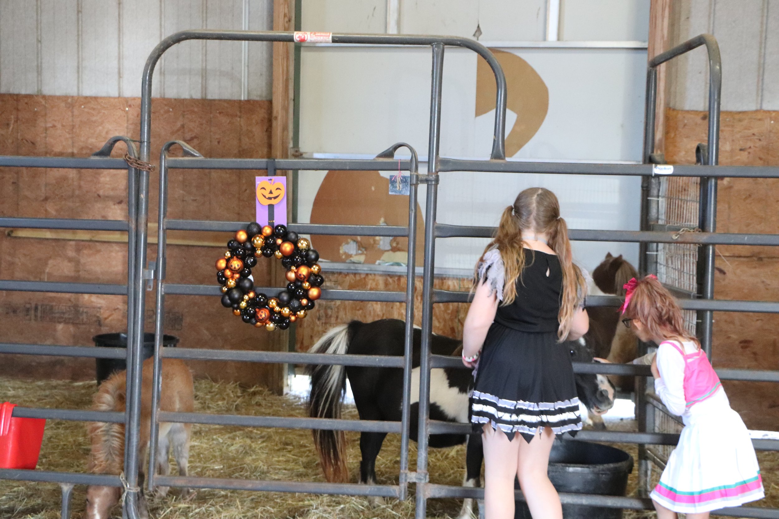 IMG_6744.JPG