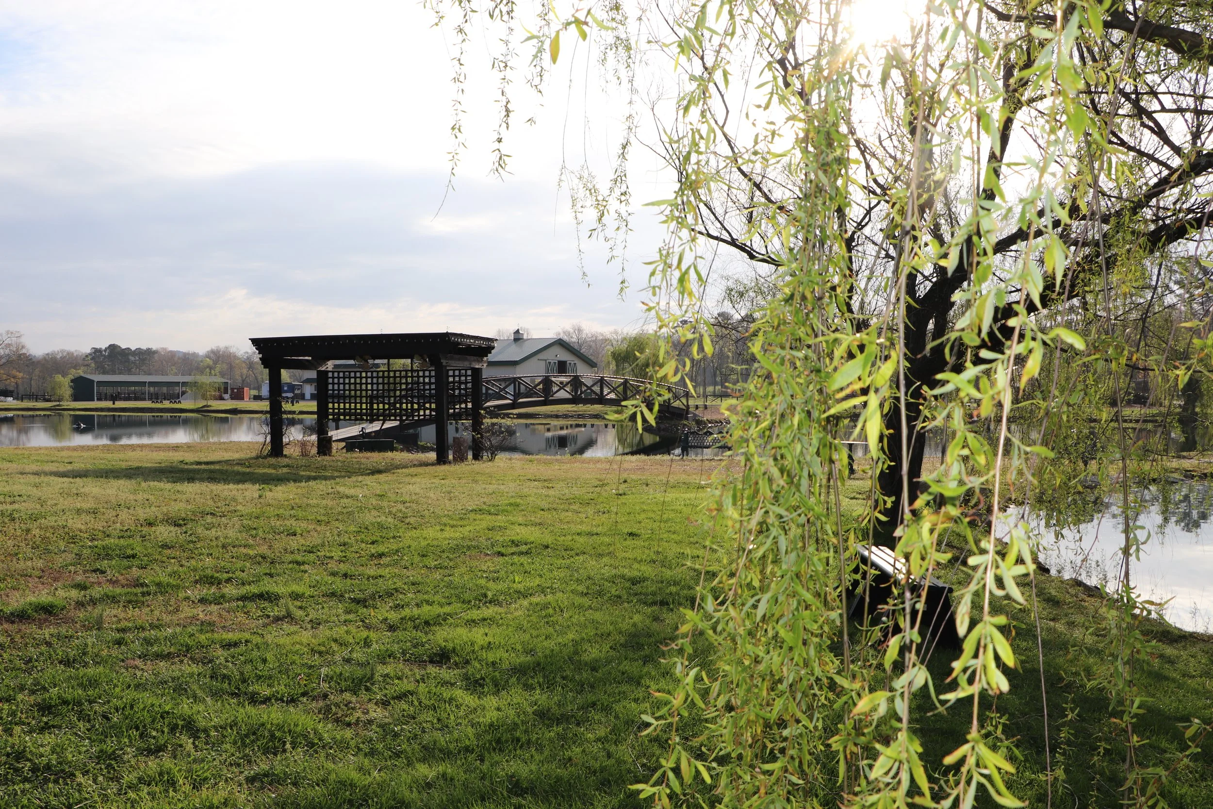 A serene outdoor scene with a small pond, a wooden bridge, and a building in the background, framed by a tree with hanging branches and green leaves, under a partly cloudy sky with sunlight.