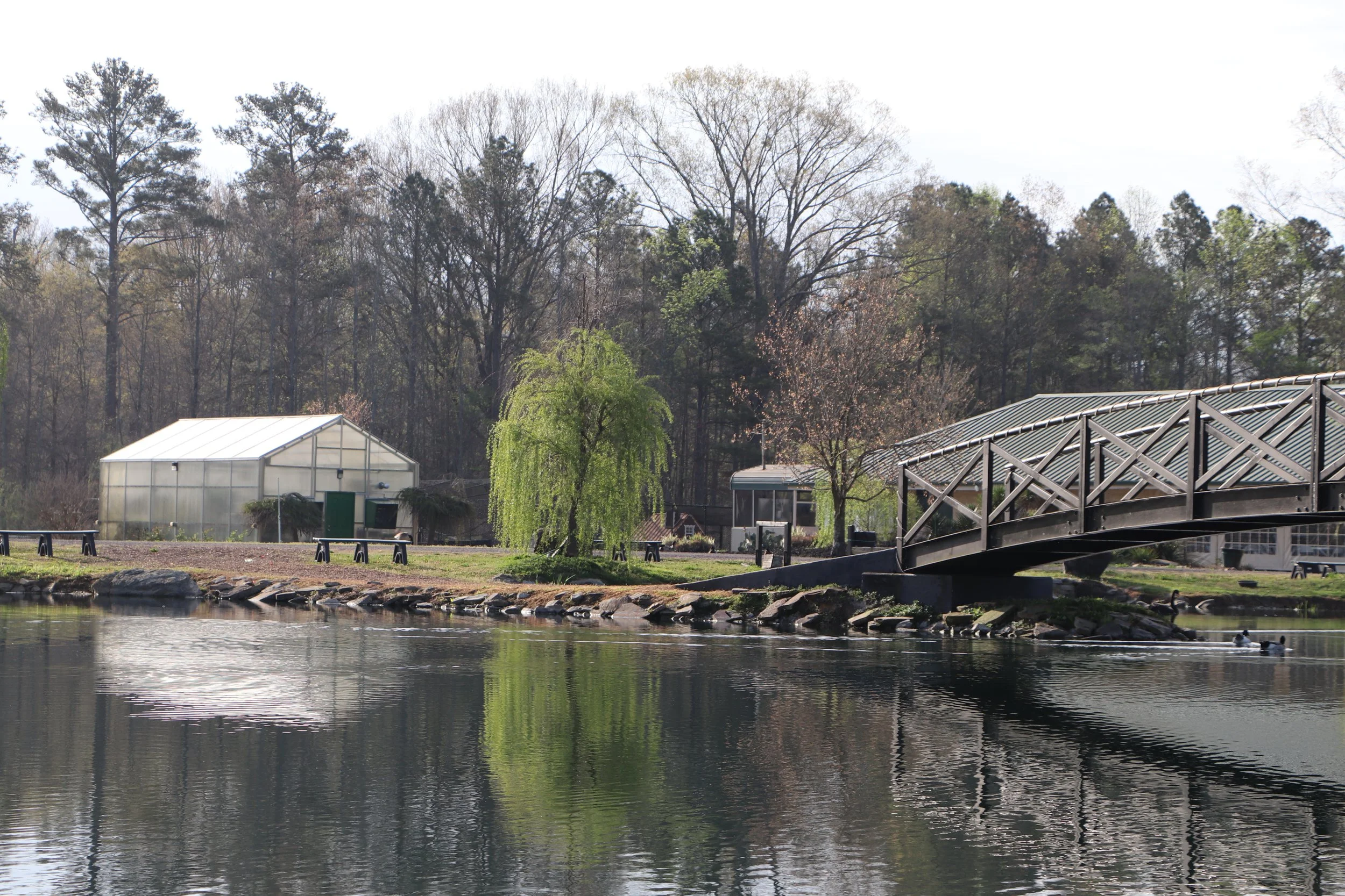 A lakeside area with a footbridge, greenhouses, and trees in the background.