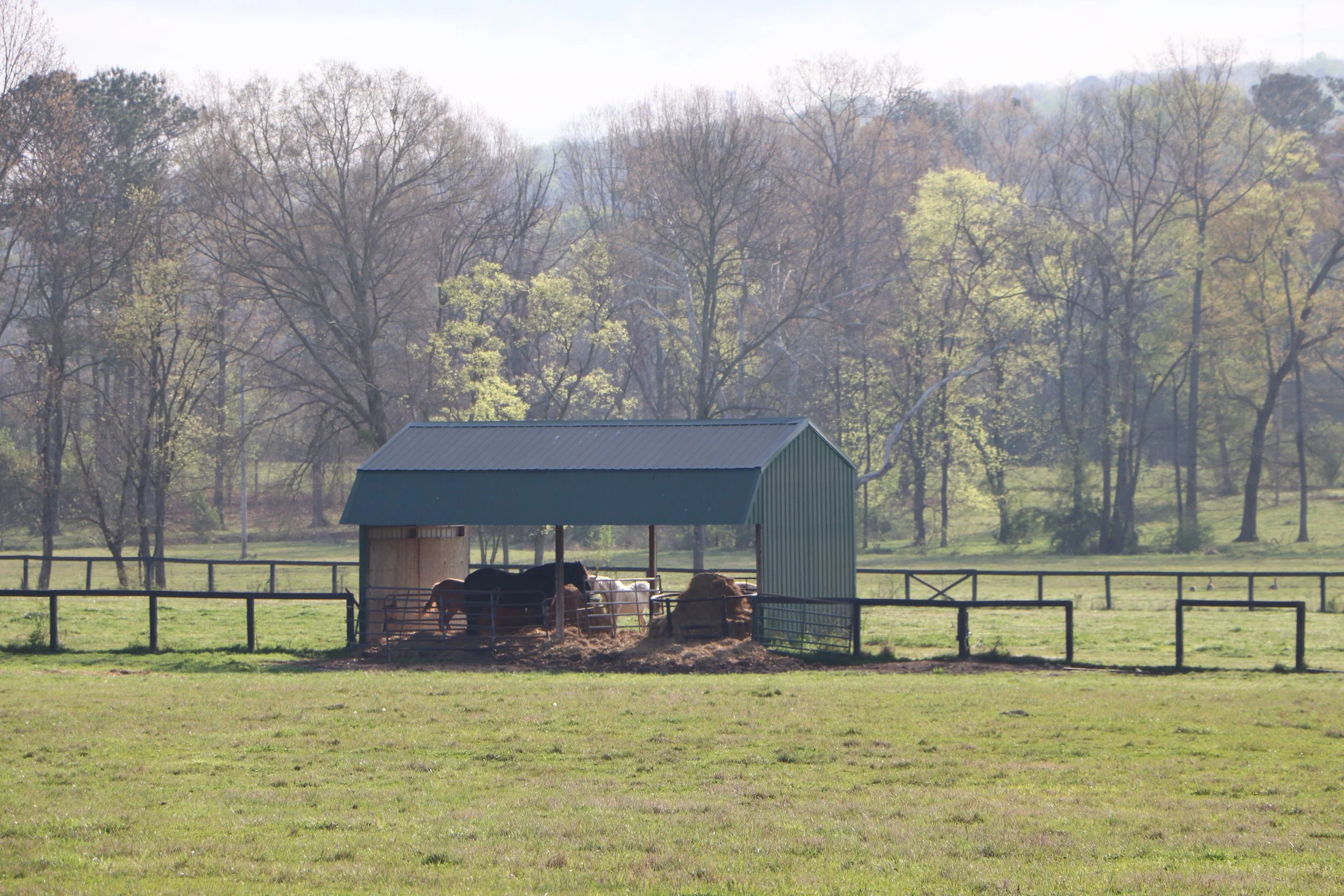 A rural farm scene with a green barn as well as horses inside a fenced area, surrounded by trees with spring foliage.