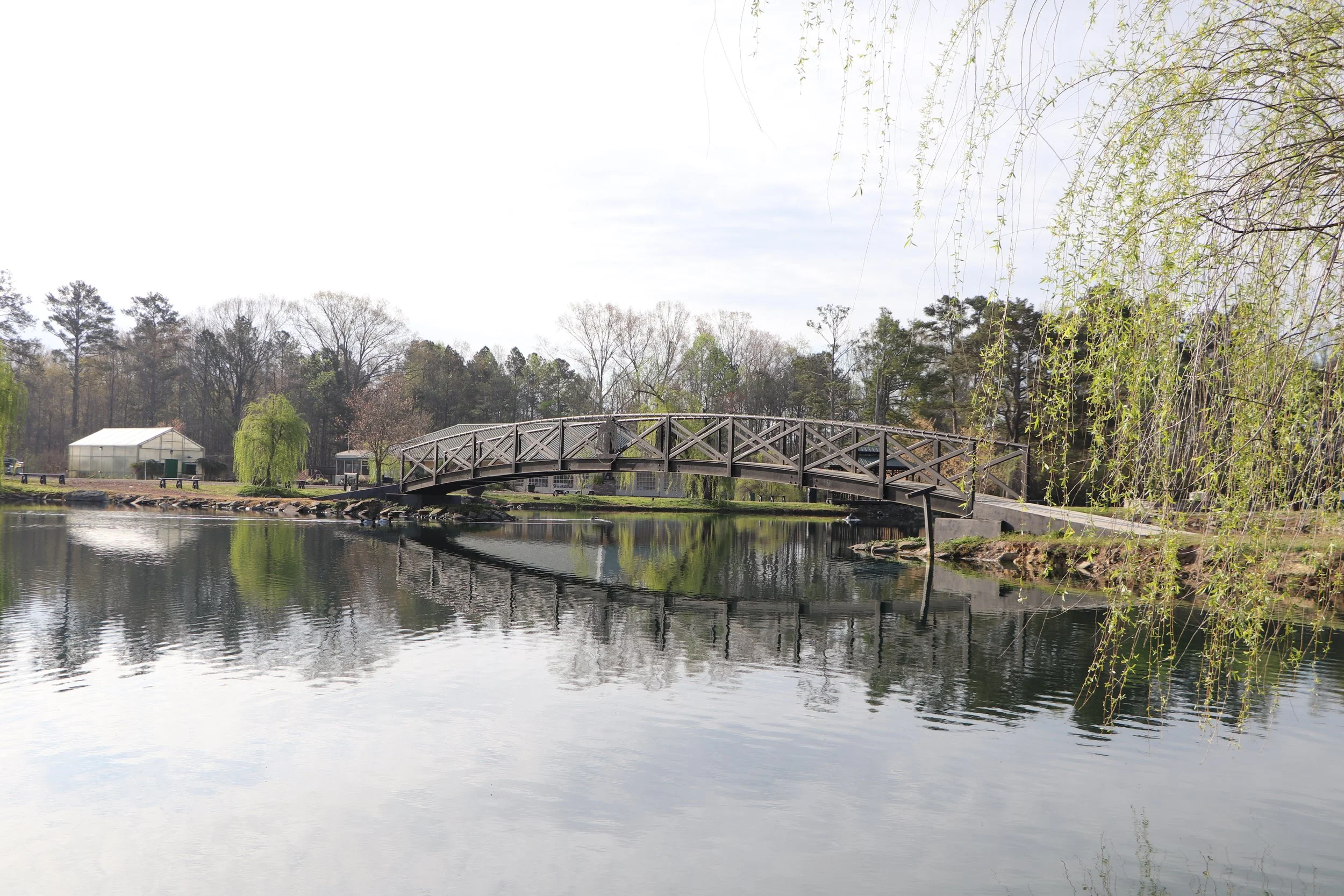 A peaceful park scene with a wooden footbridge over a calm pond, surrounded by trees and greenery.