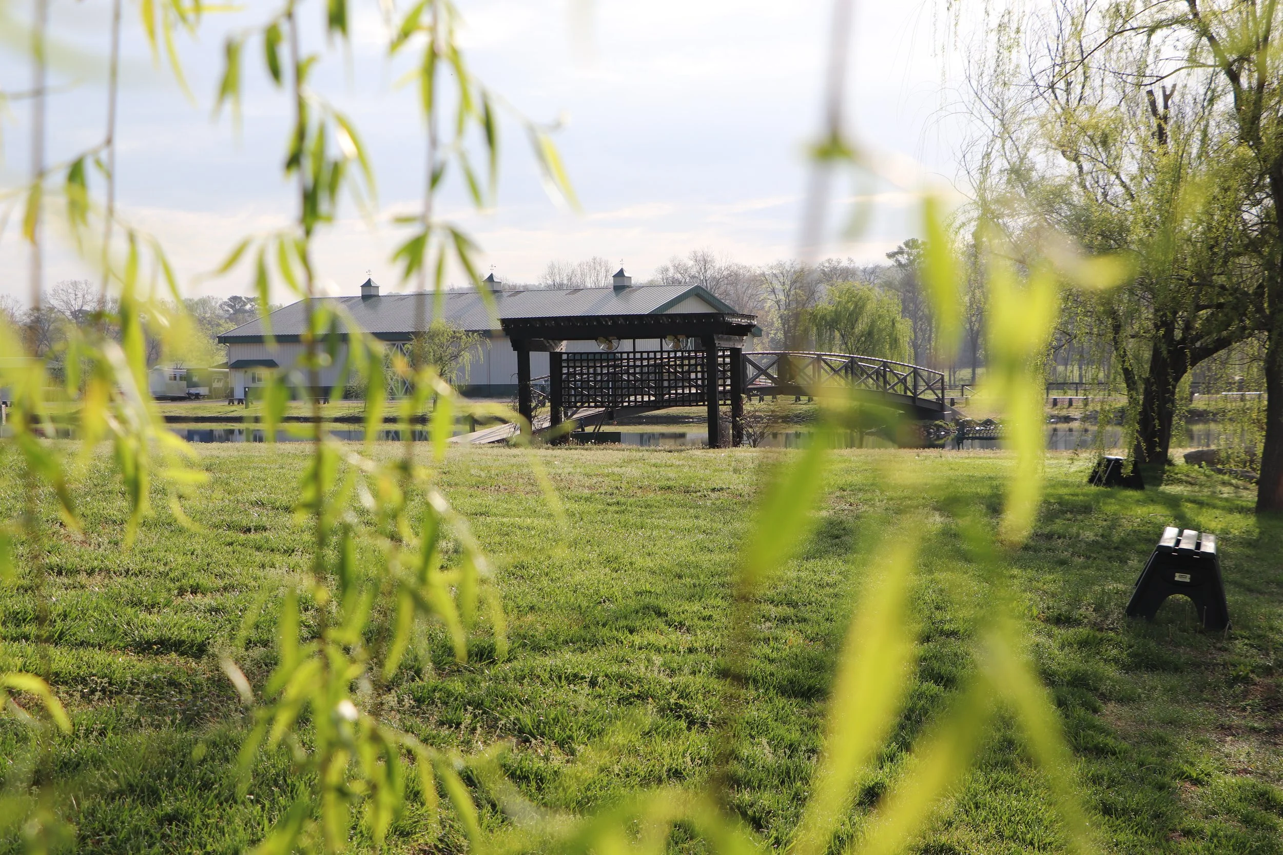 A lakeside scene with a building, trees, a small bridge, and a grassy area in the foreground, partially obscured by hanging green leaves.