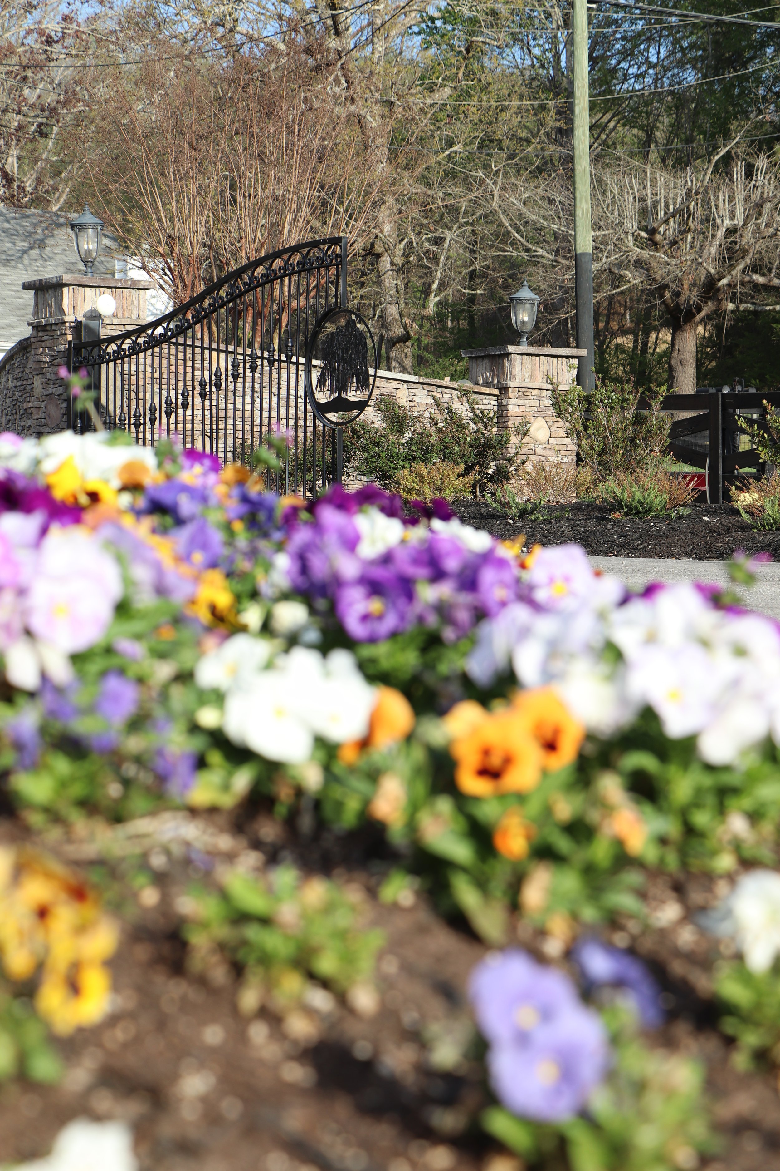 Blurred view of a garden with colorful flowers in focus in the foreground and a black wrought iron gate with a circular emblem and stone pillars with lanterns behind it. There are trees and a utility pole in the background.