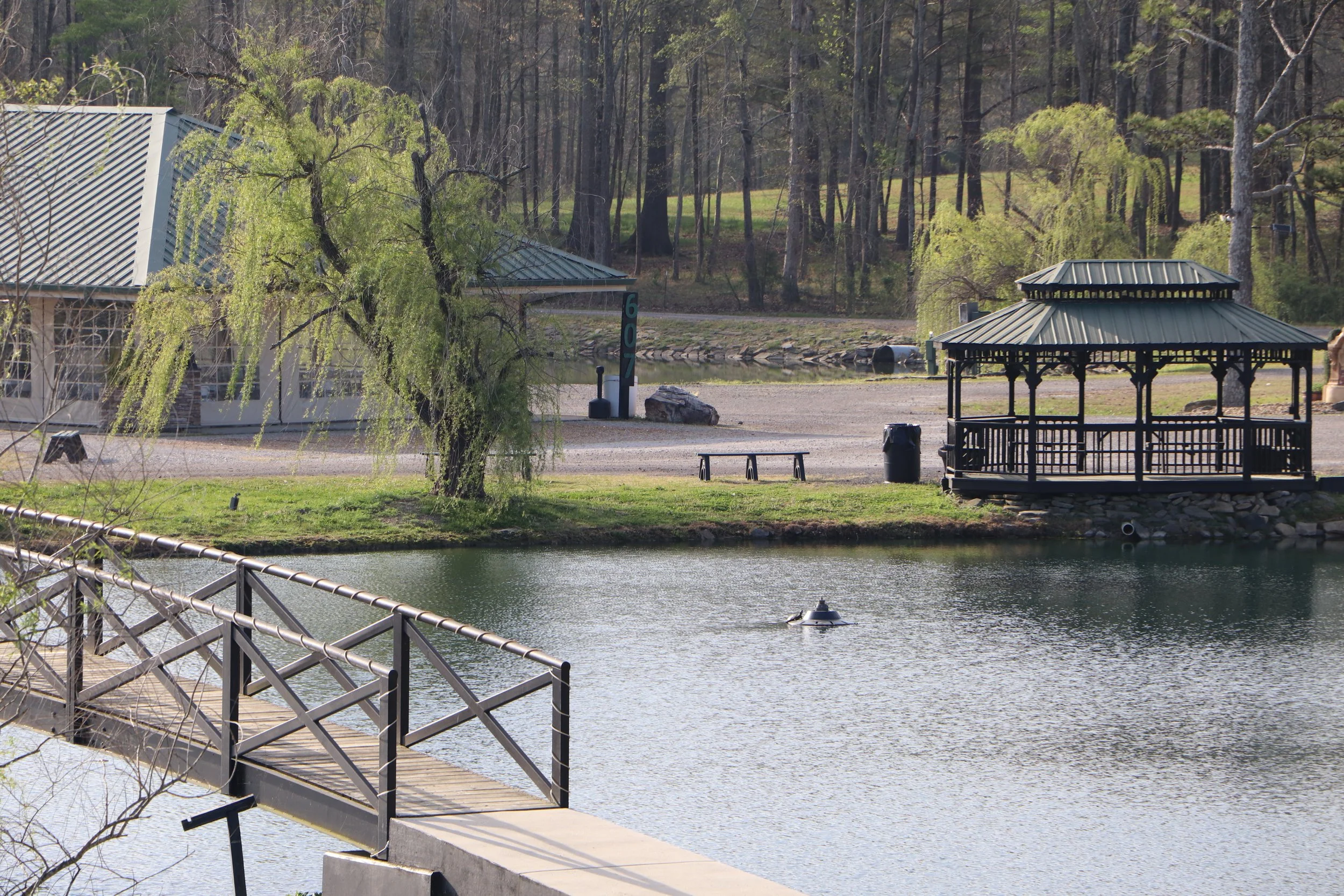 A lakeside park with a wooden dock extending over the water, a gazebo on the grass, trees with budding leaves, and a hillside in the background.