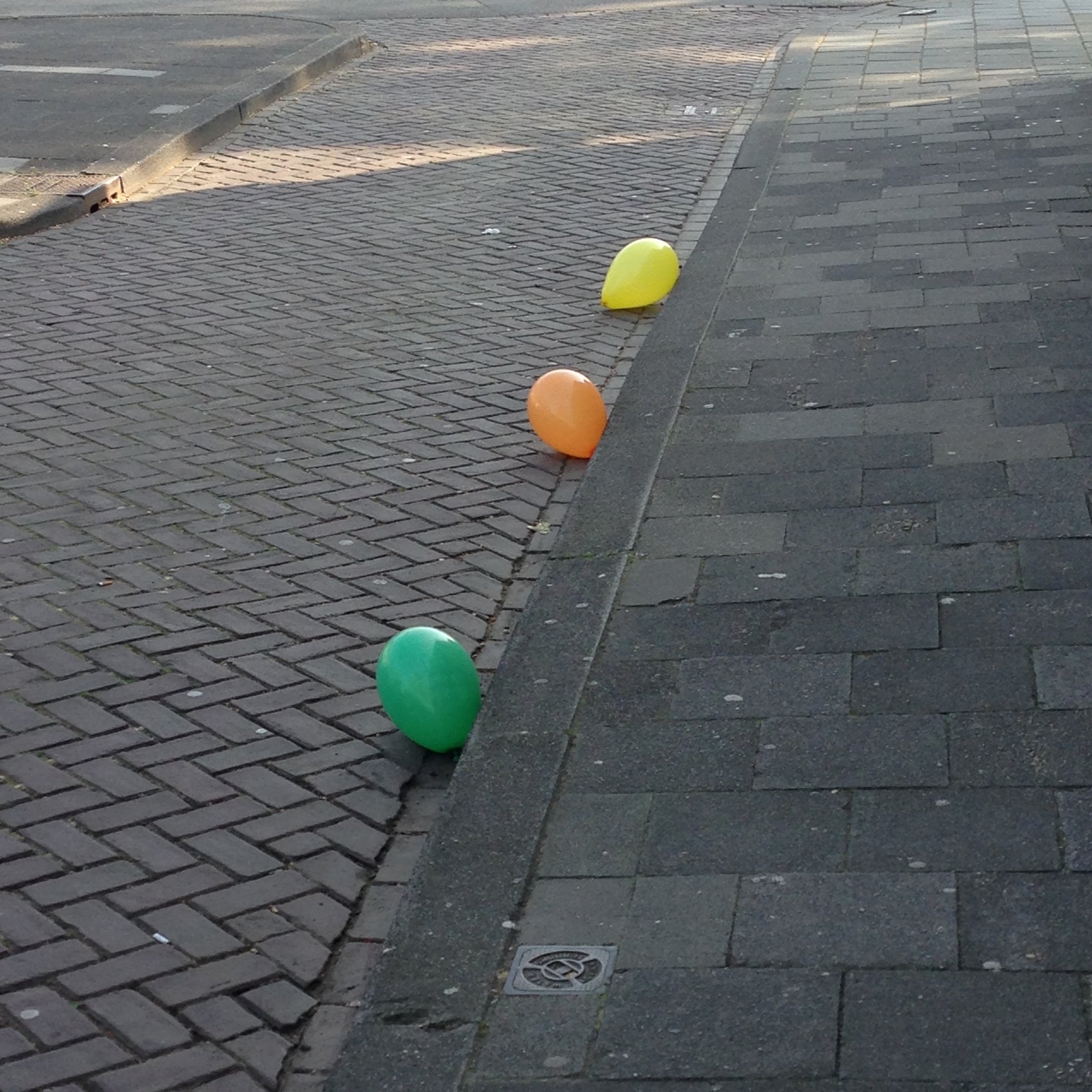 IMG_5532.jpeg