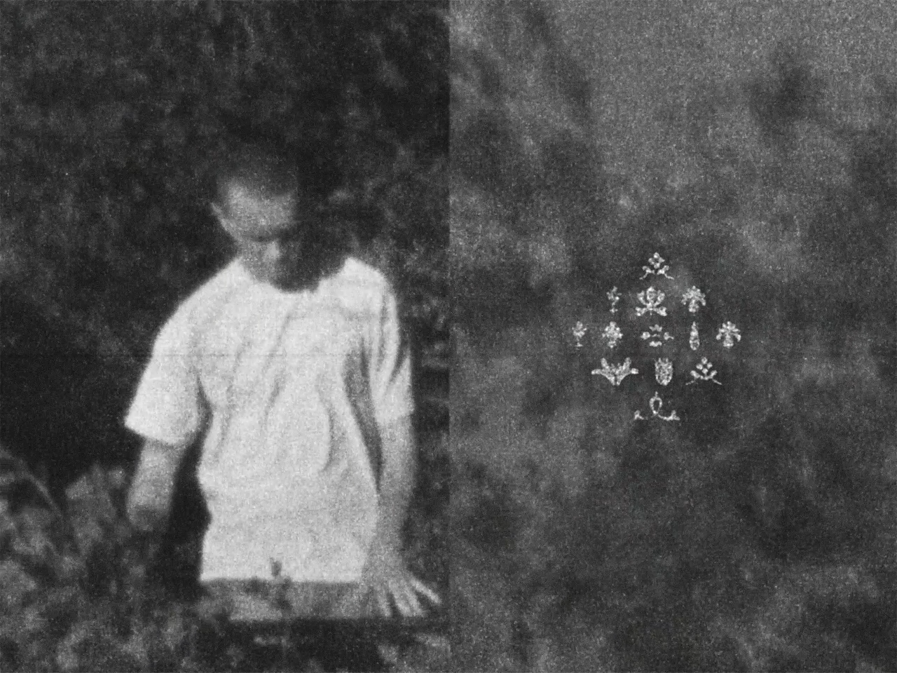 dew point final video (0-00-36-00).png