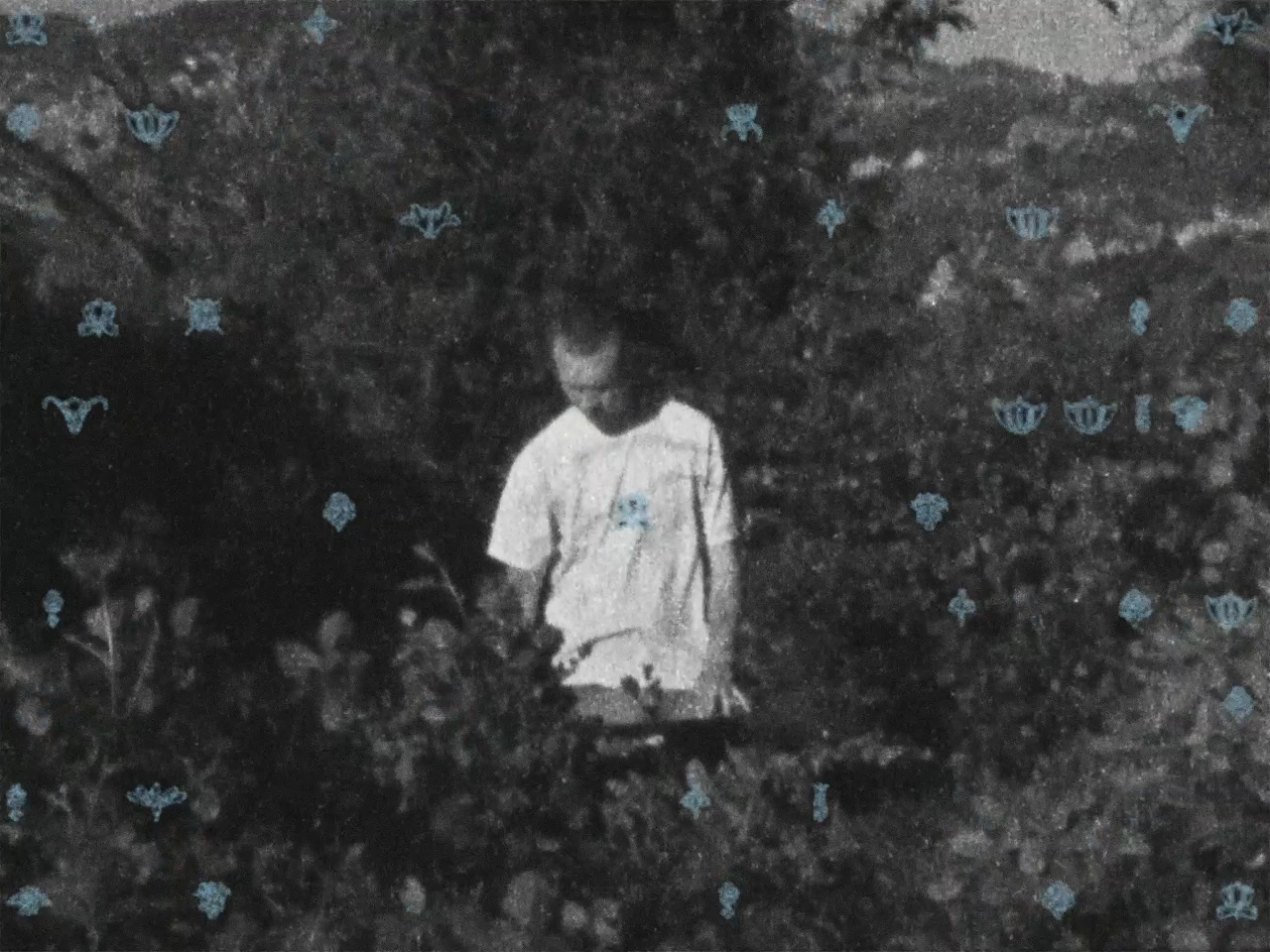 dew point final video (0-01-14-13).png