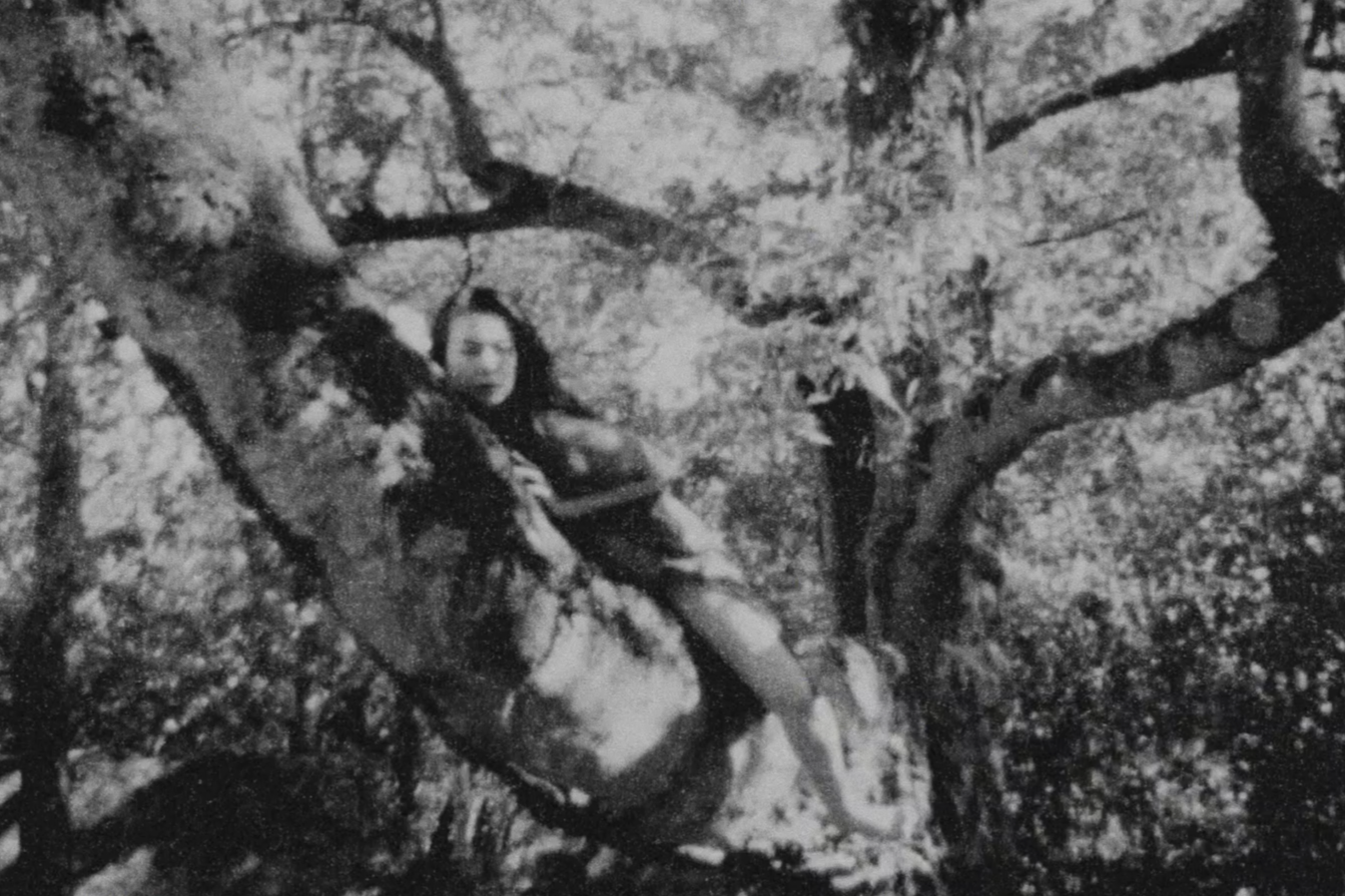 Mitski 'The Land Is Inhospitable And So Are We'