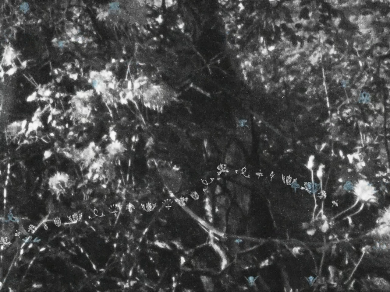 dew point final video (0-01-22-10).png