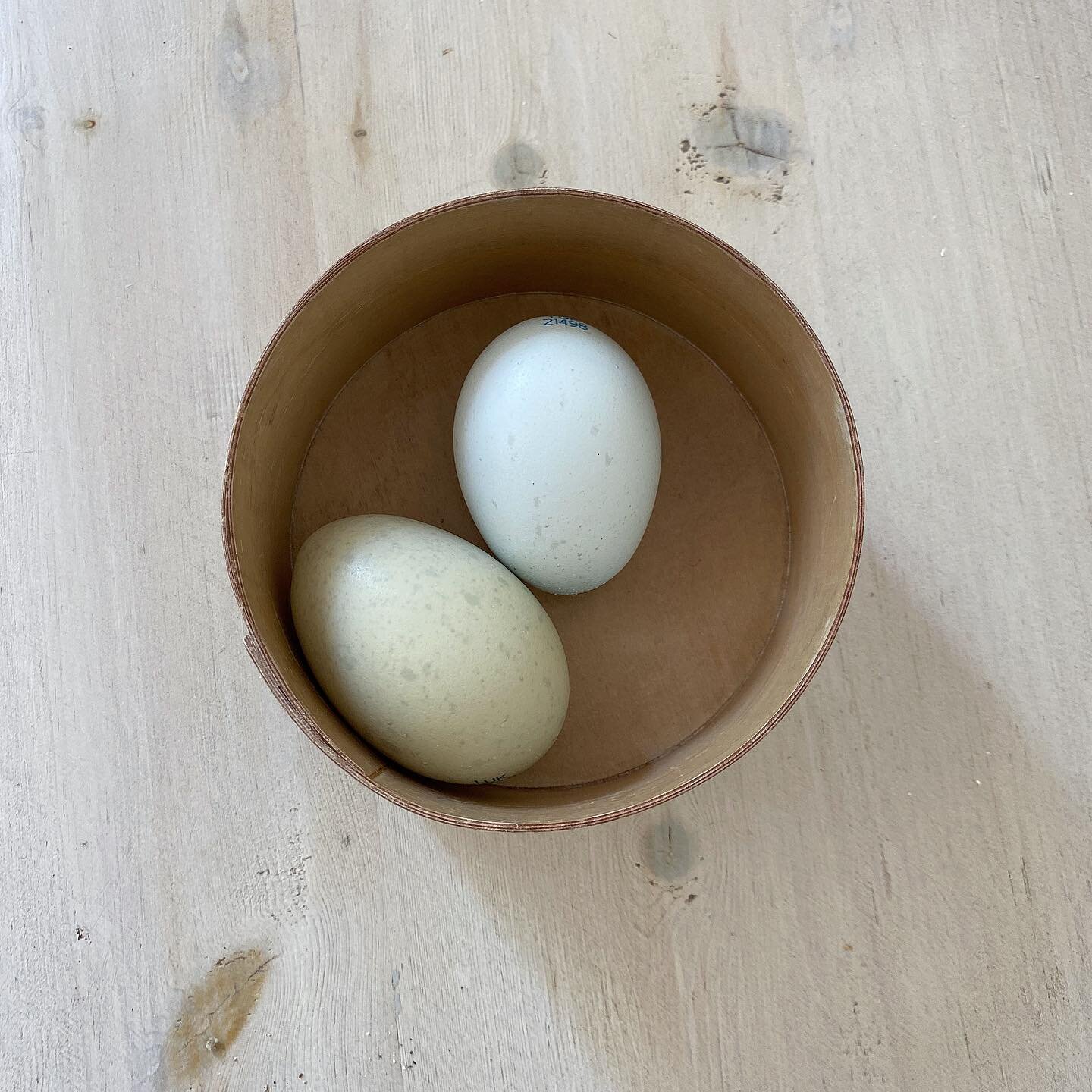 Breakfast. Bowl by Roger, eggs Cotswold Legbar. #eggs #hens #bowl #minimal #breakfast #craftsman #wood #minimalism #inmyhome #inmykitchen #photography #nofilters
