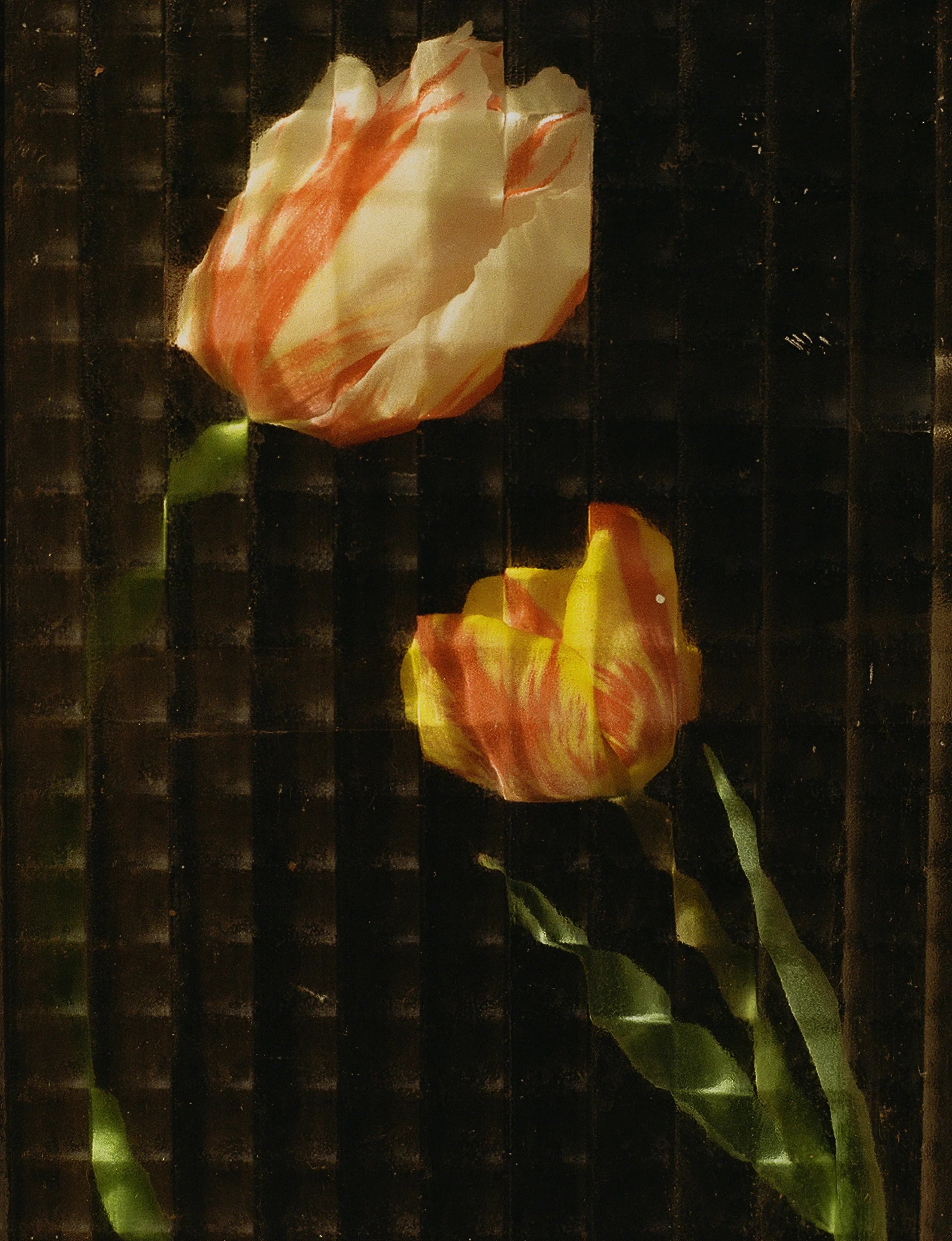  Lucy Leucht via Pictures for St Petrocs - £100  Proceeds from this print sale will go towards St Petrocs Winter Appeal, supporting people experiencing homelessness during the coldest months of the year in Cornwall